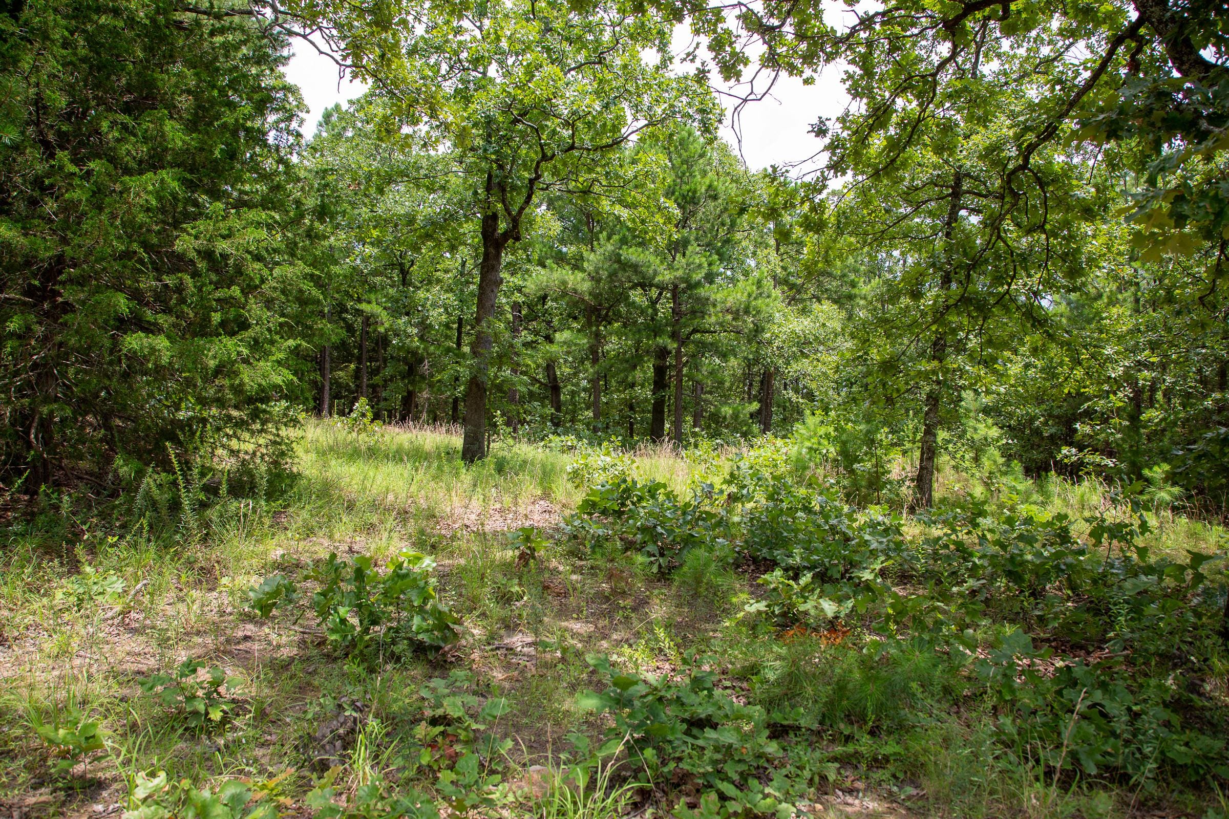 Tyler Stone Ranch Tract 22 photo 13