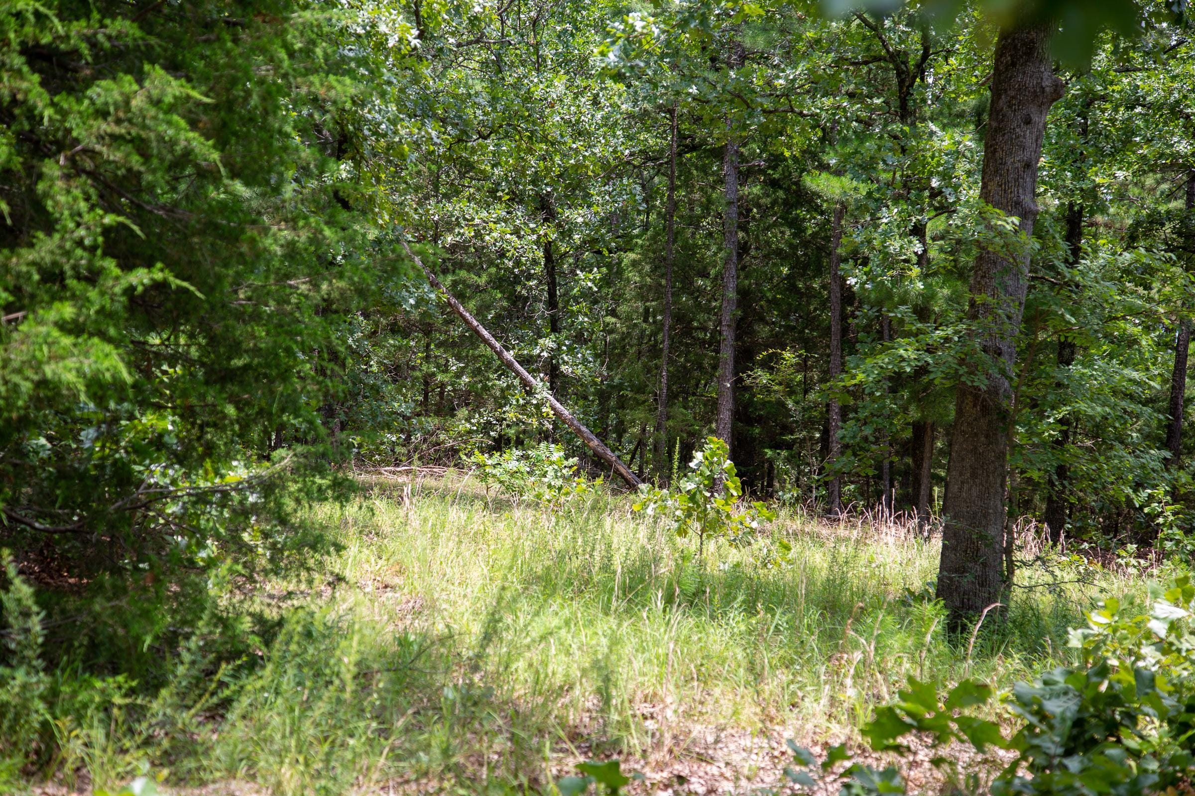 Tyler Stone Ranch Tract 22 photo 14