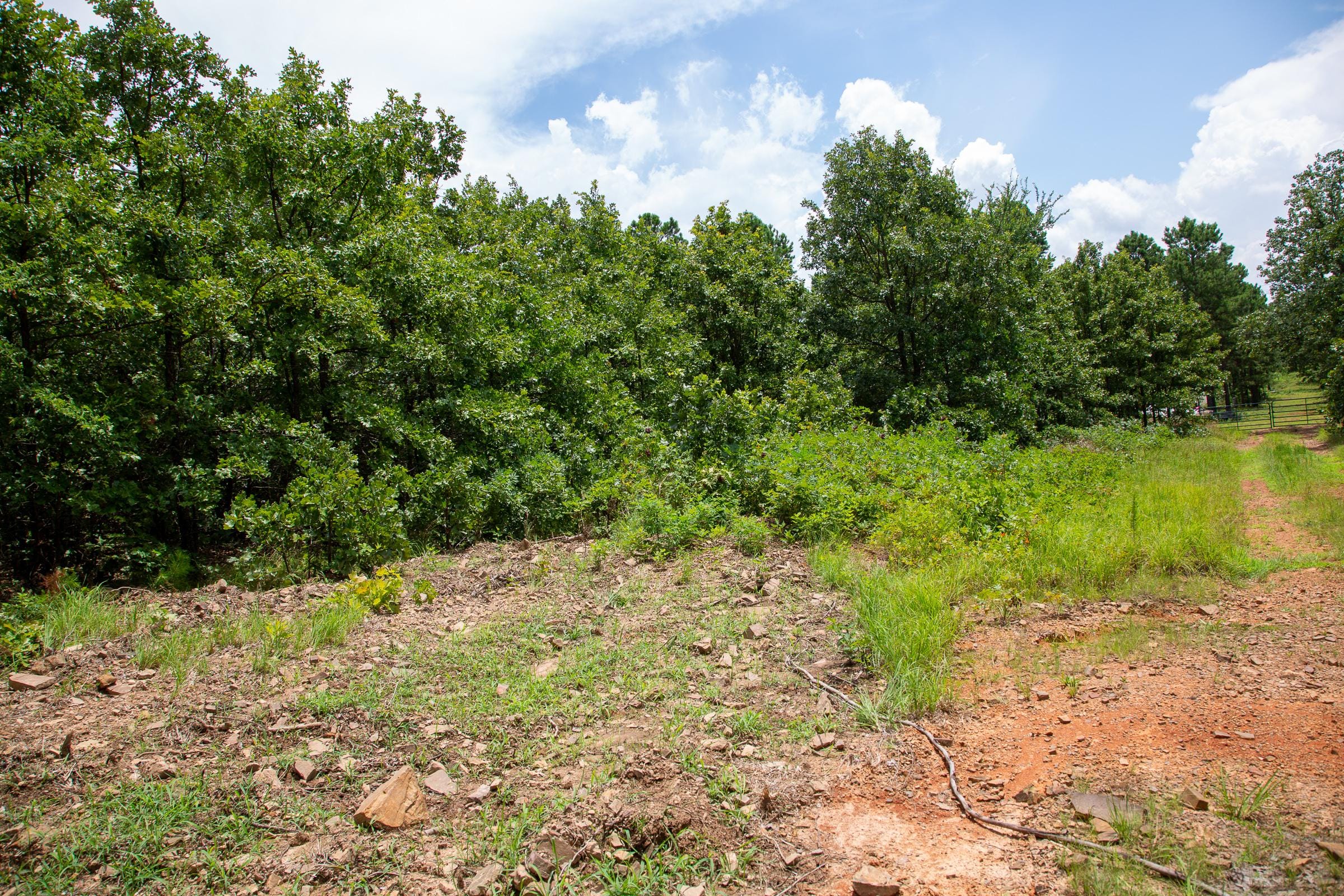 Tyler Stone Ranch Tract 22 photo 15