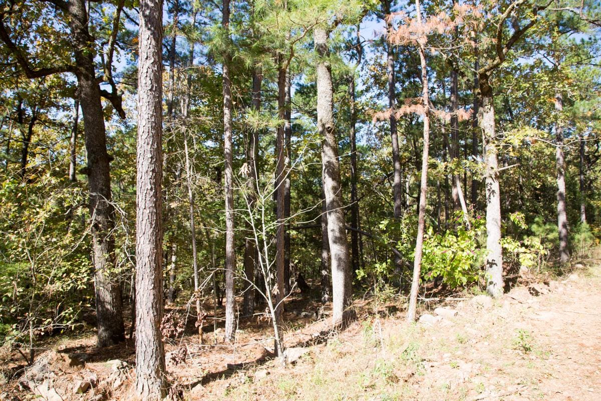 Stone Creek Phase I Tract 186 photo 7