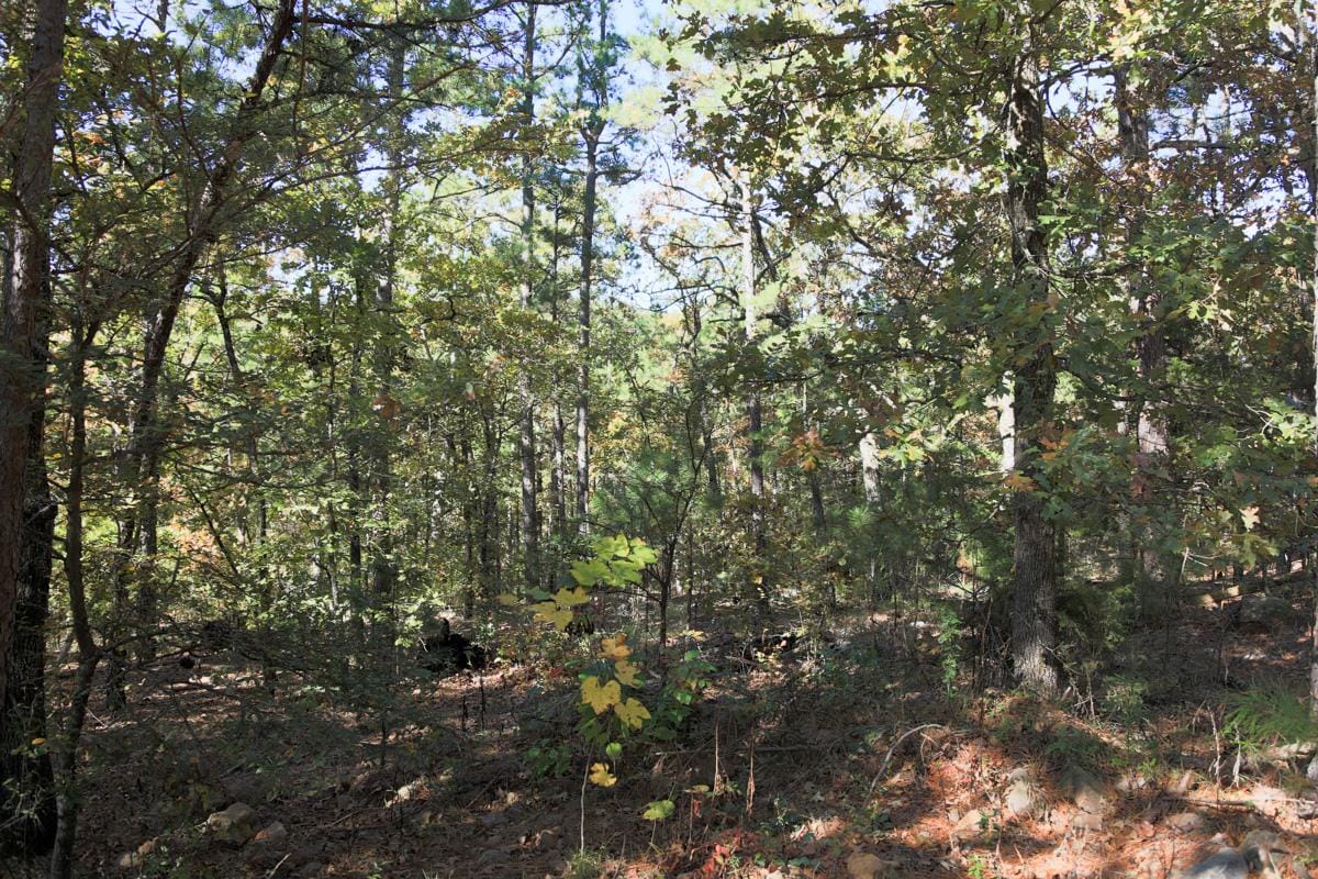 Stone Creek Phase I Tract 186 photo 9