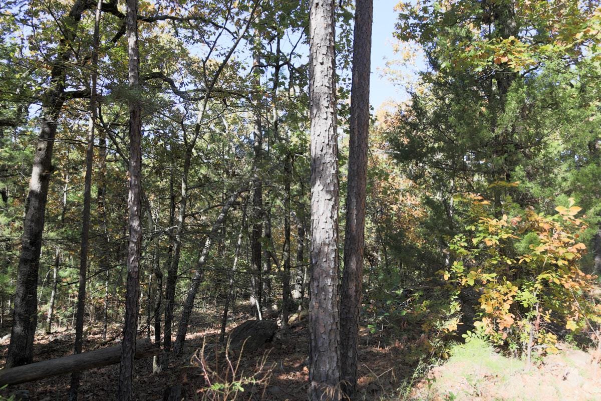 Stone Creek Phase I Tract 186 photo 11