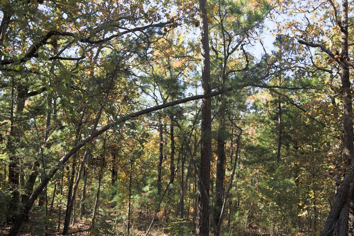 Stone Creek Phase I Tract 186 photo 12