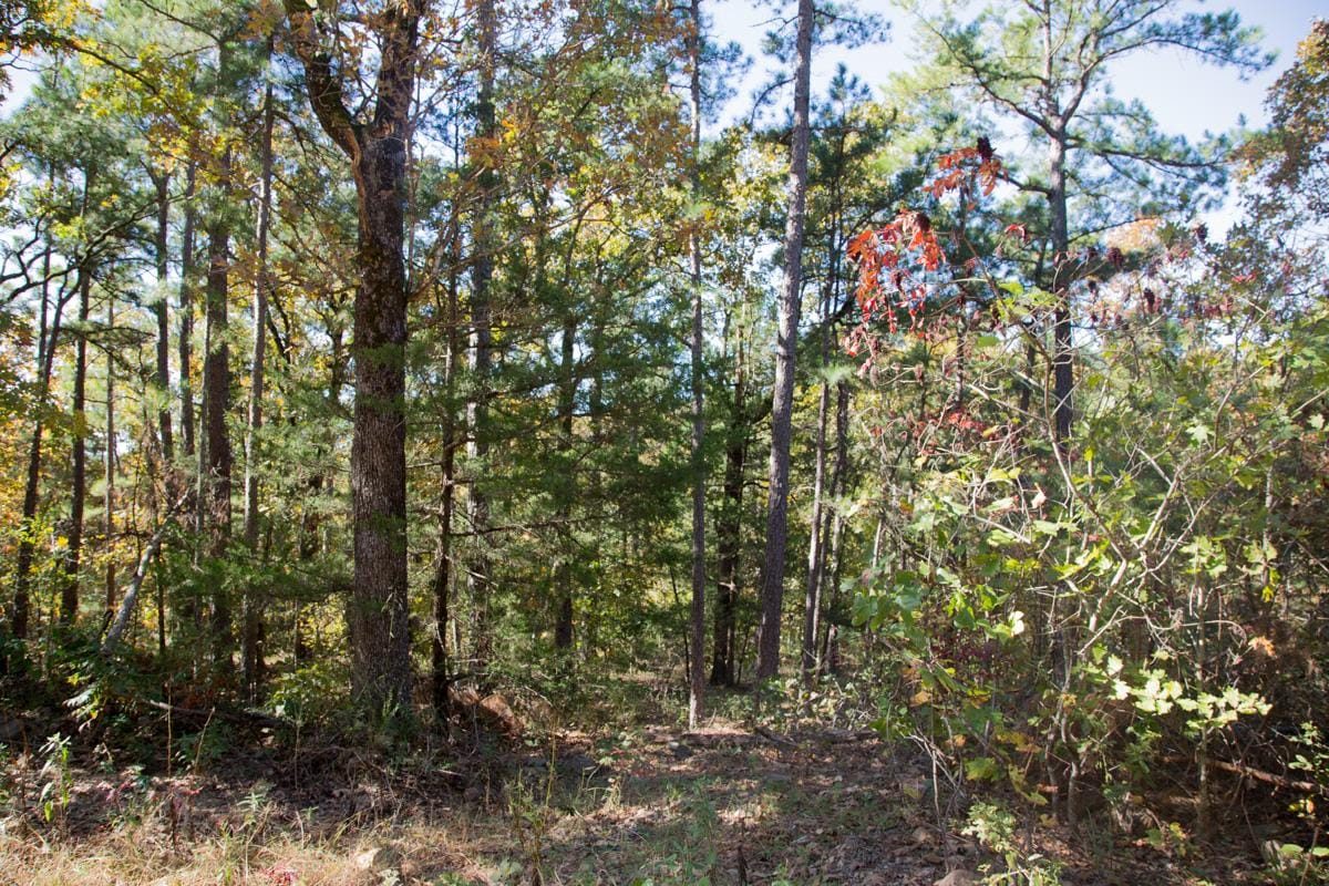 Stone Creek Phase I Tract 186 photo 13