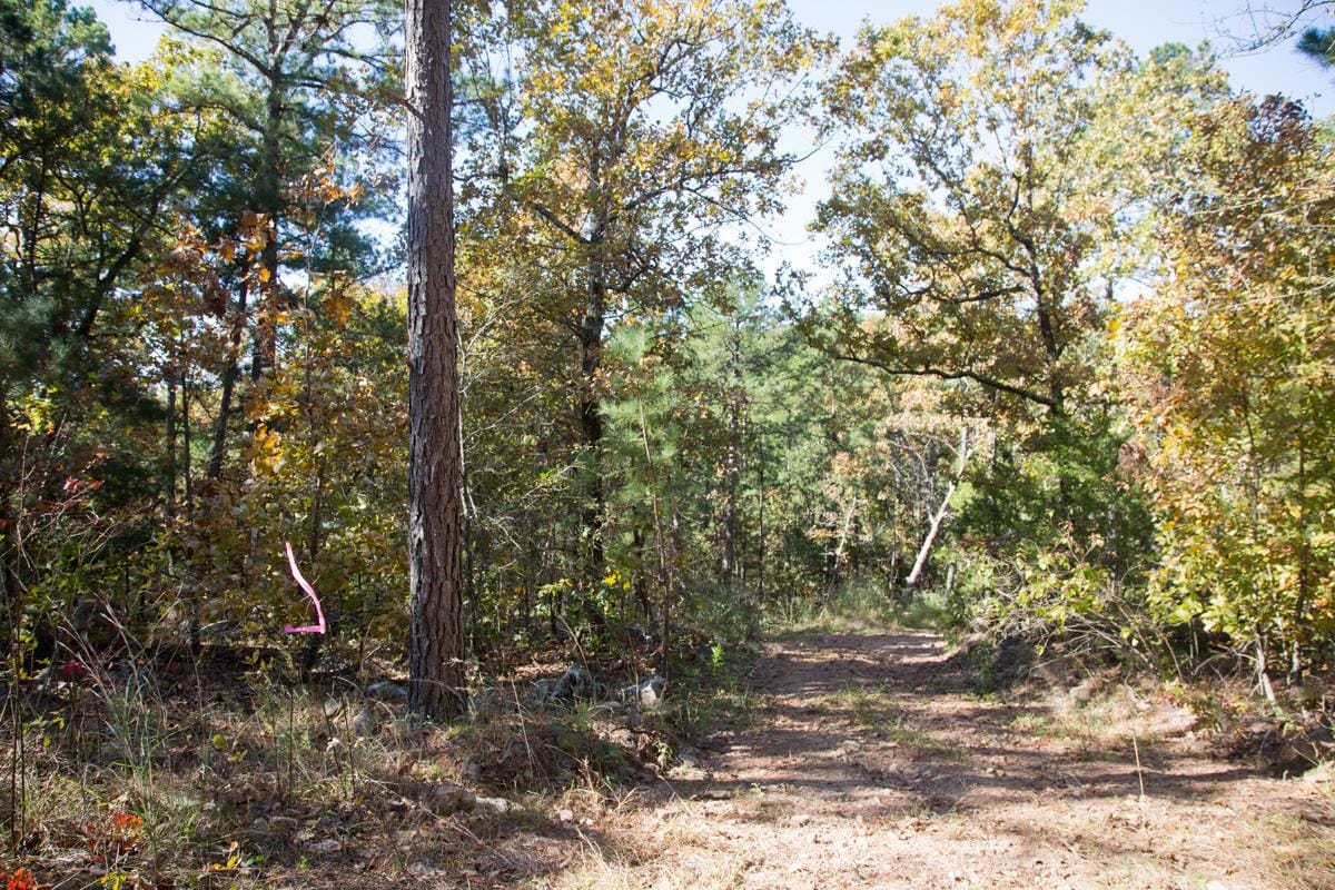 Stone Creek Phase I Tract 186 photo 14