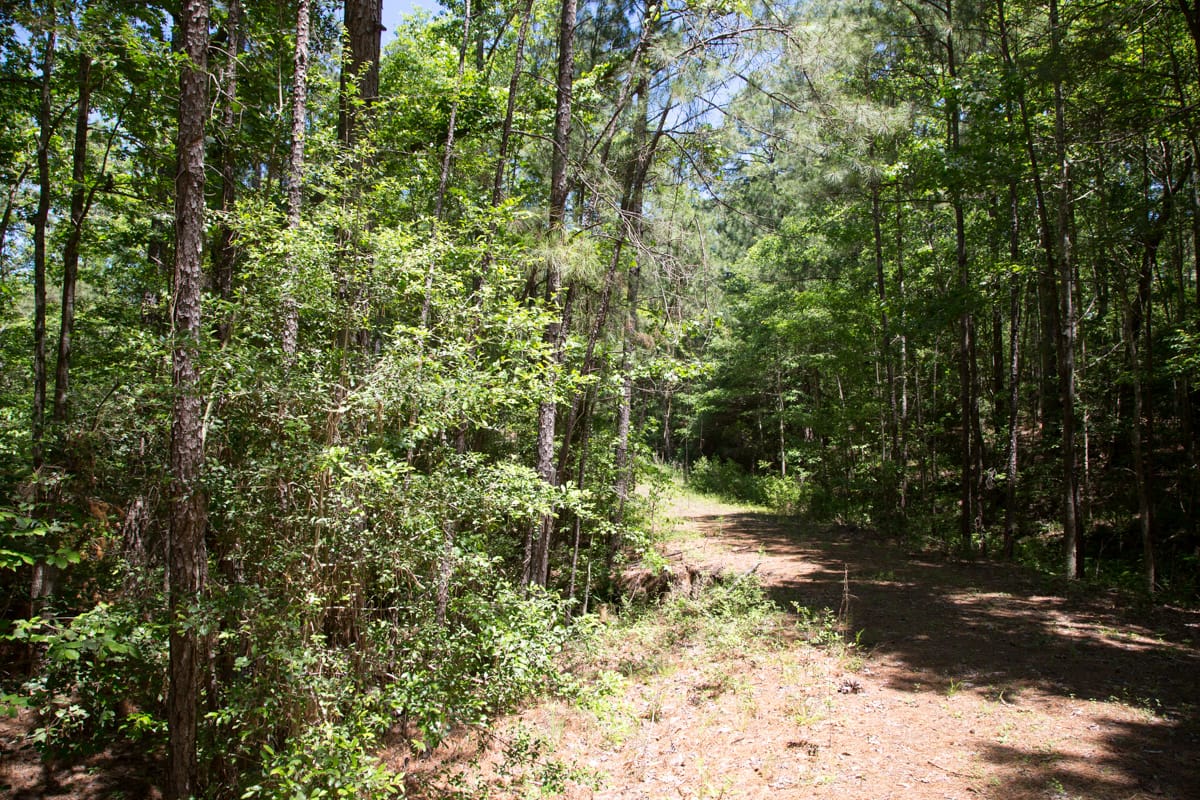 Rayburn Country Tract 245 photo 9