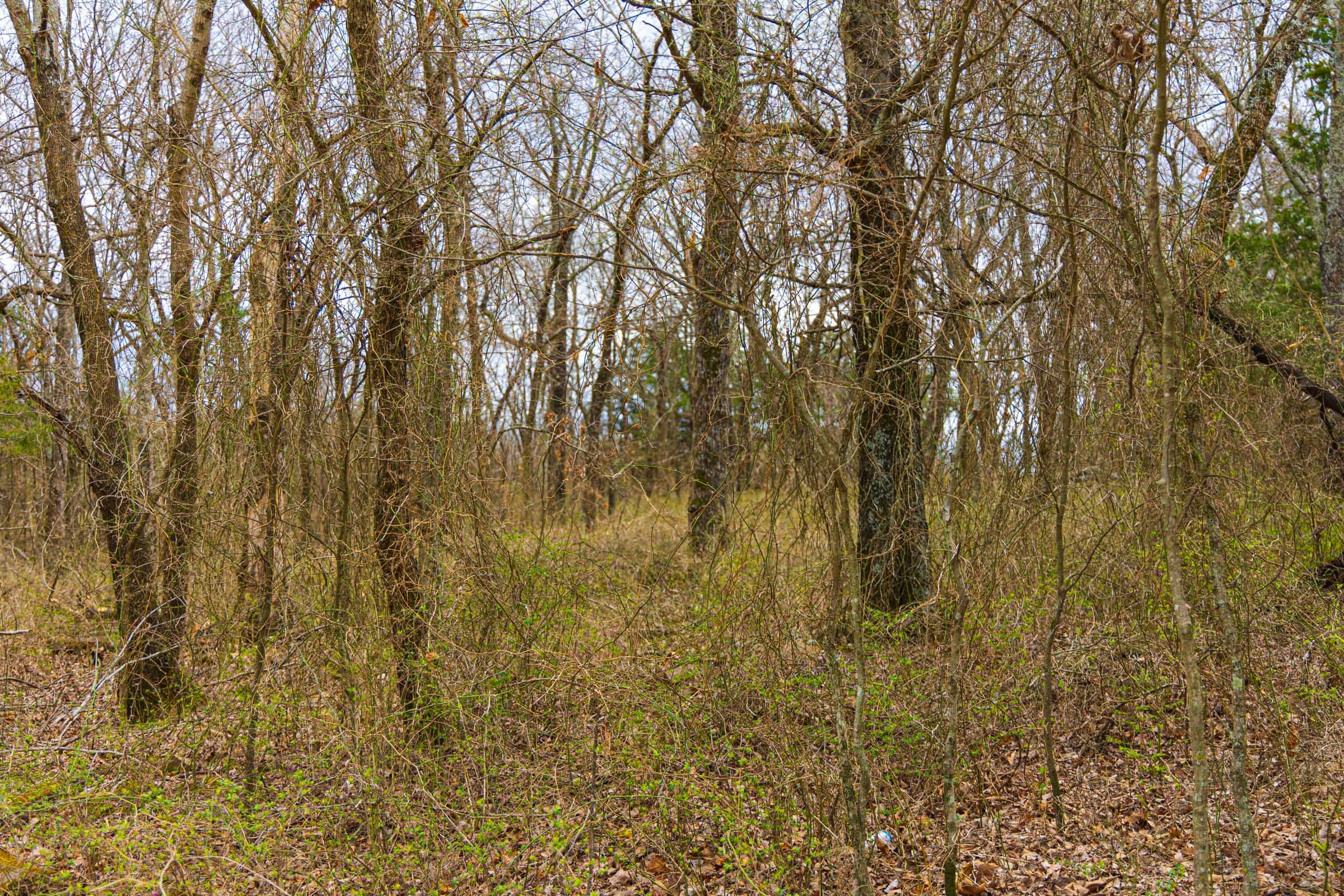 Reserves At Cattail Cove Phase I Tract 6 photo 8