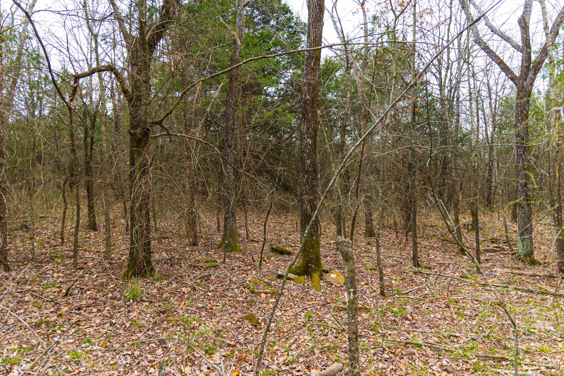 Reserves At Cattail Cove Phase I Tract 6 photo 6
