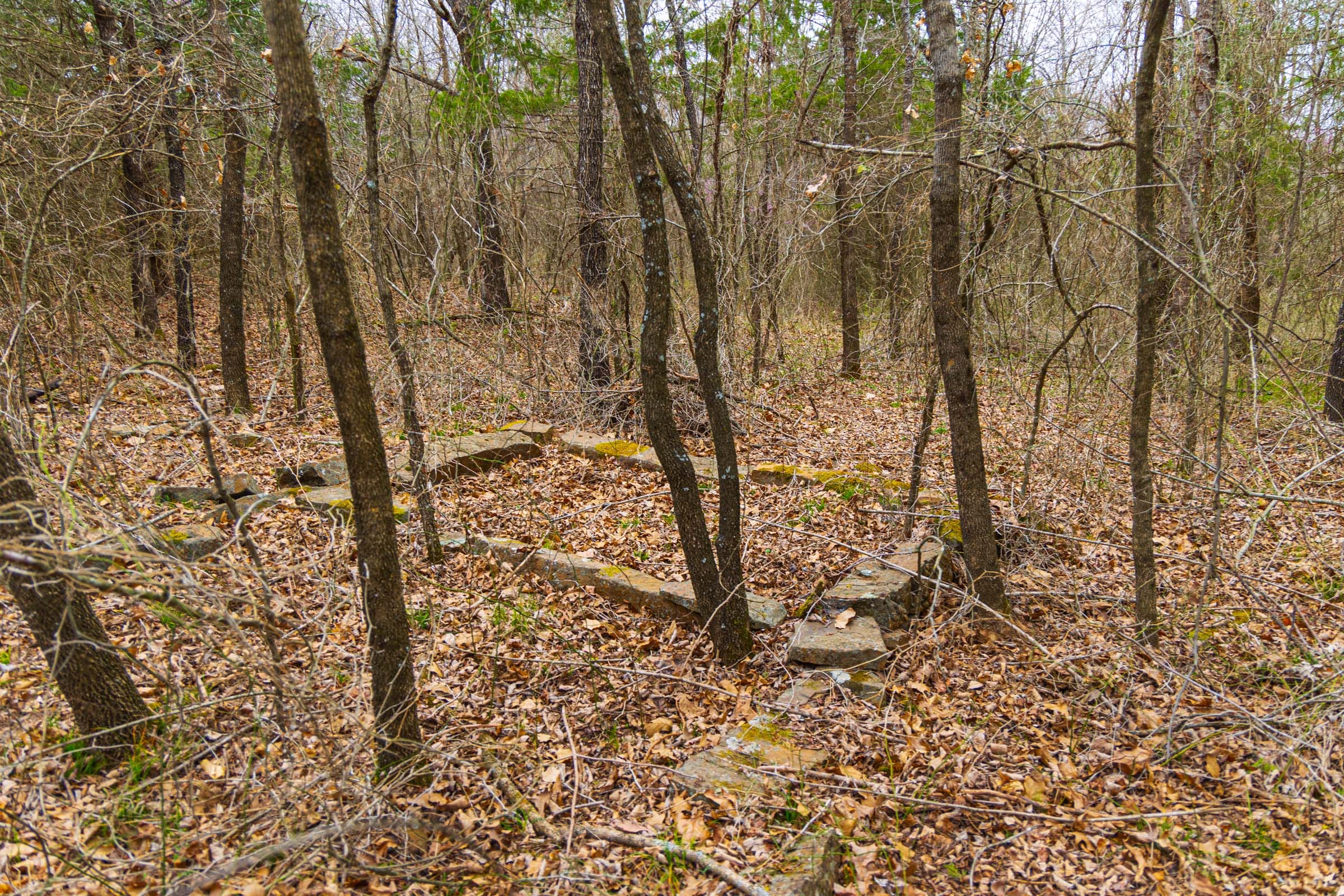 Reserves At Cattail Cove Phase I Tract 6 photo 3