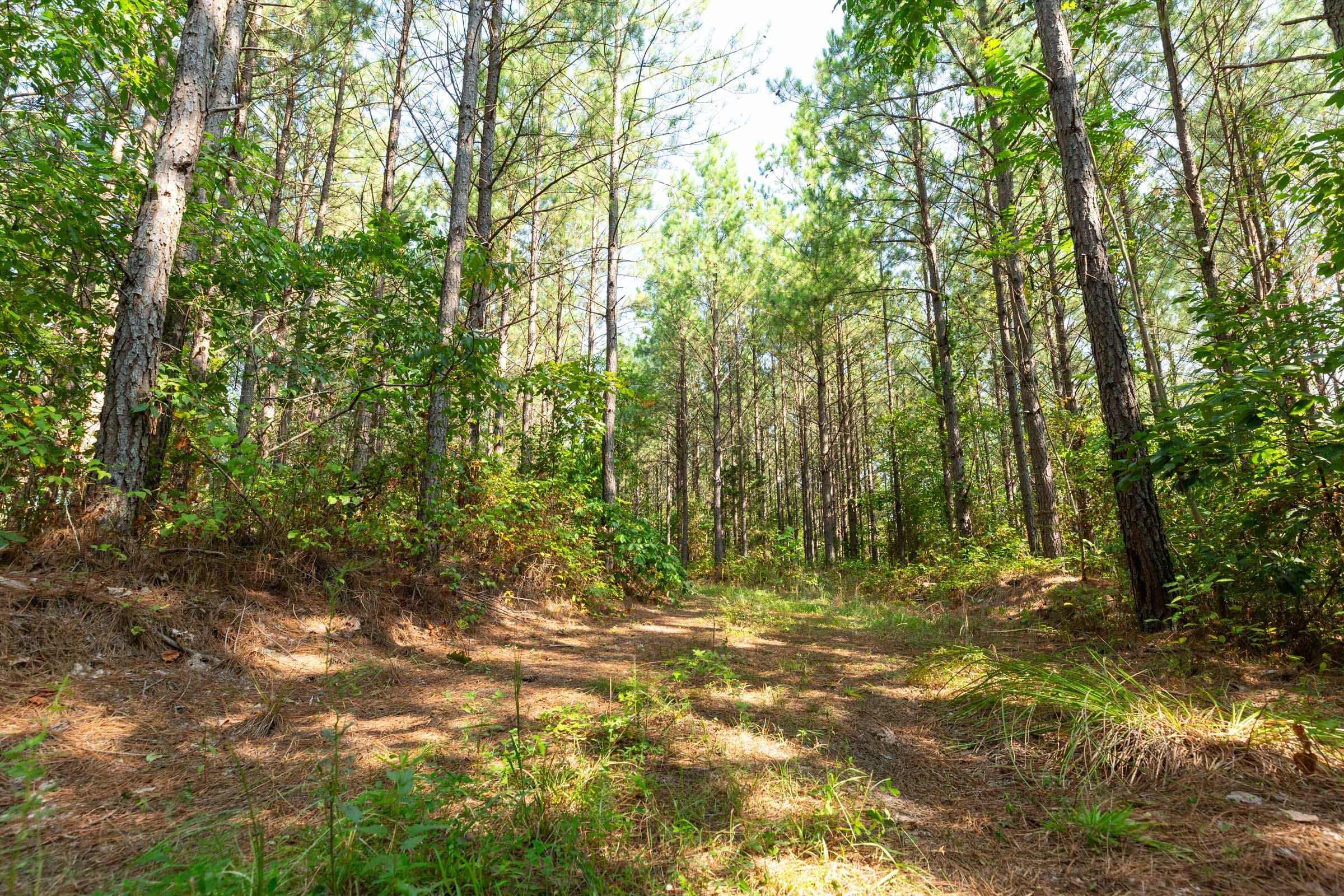 Harvest Ridge Tract 14 photo 7