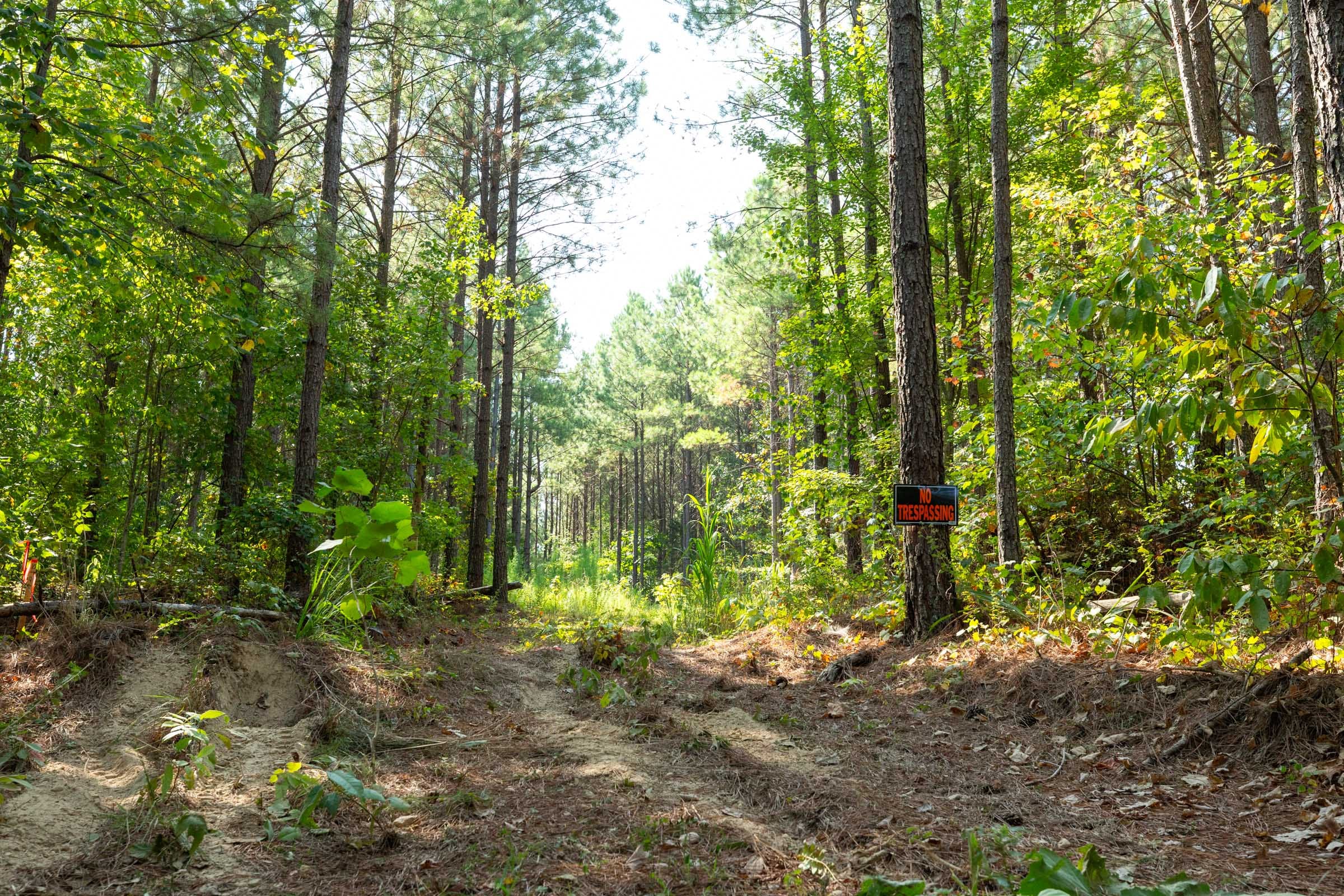Harvest Ridge Tract 14 photo 1