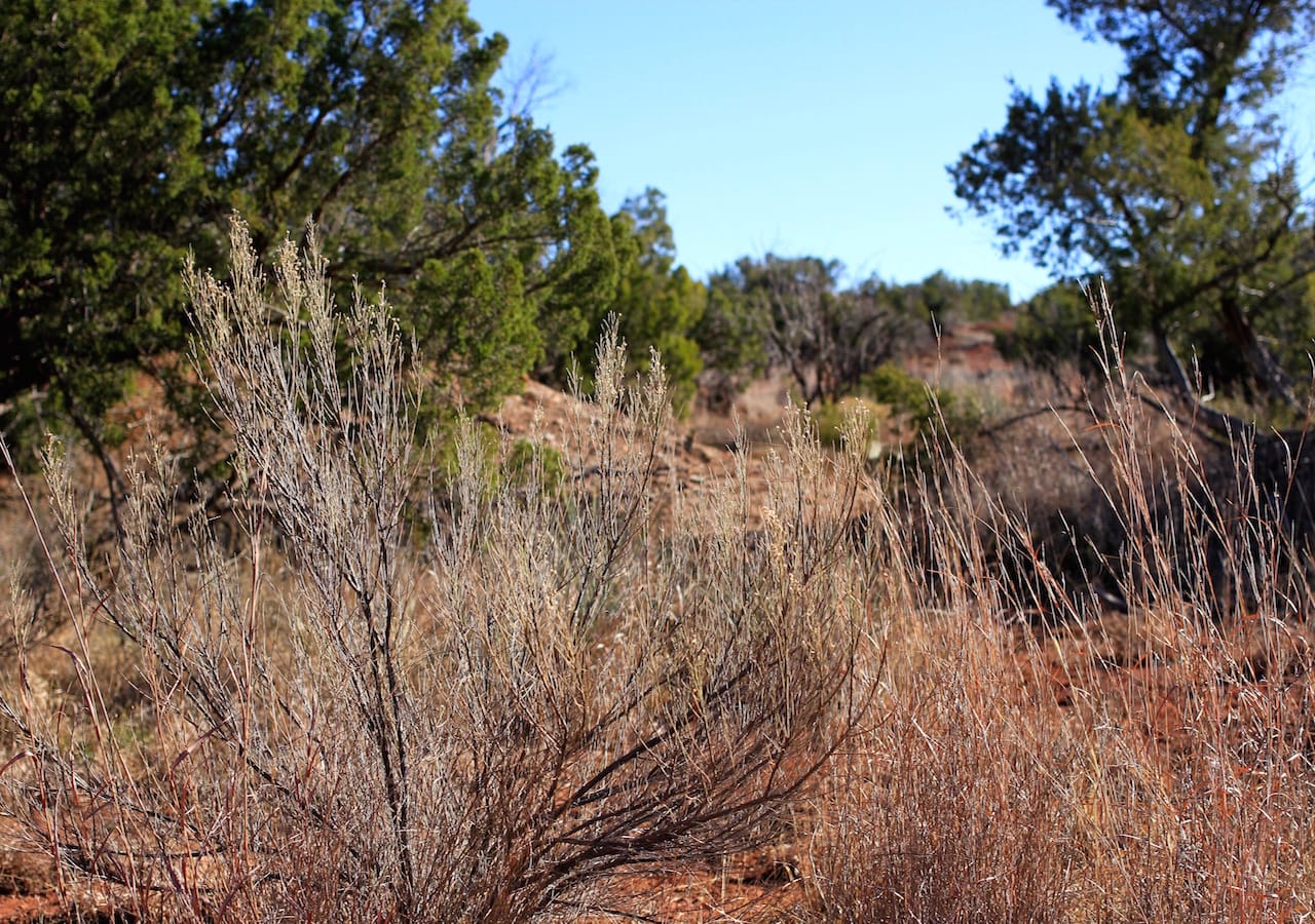 Red Rock Ranch Tract 32 photo 2