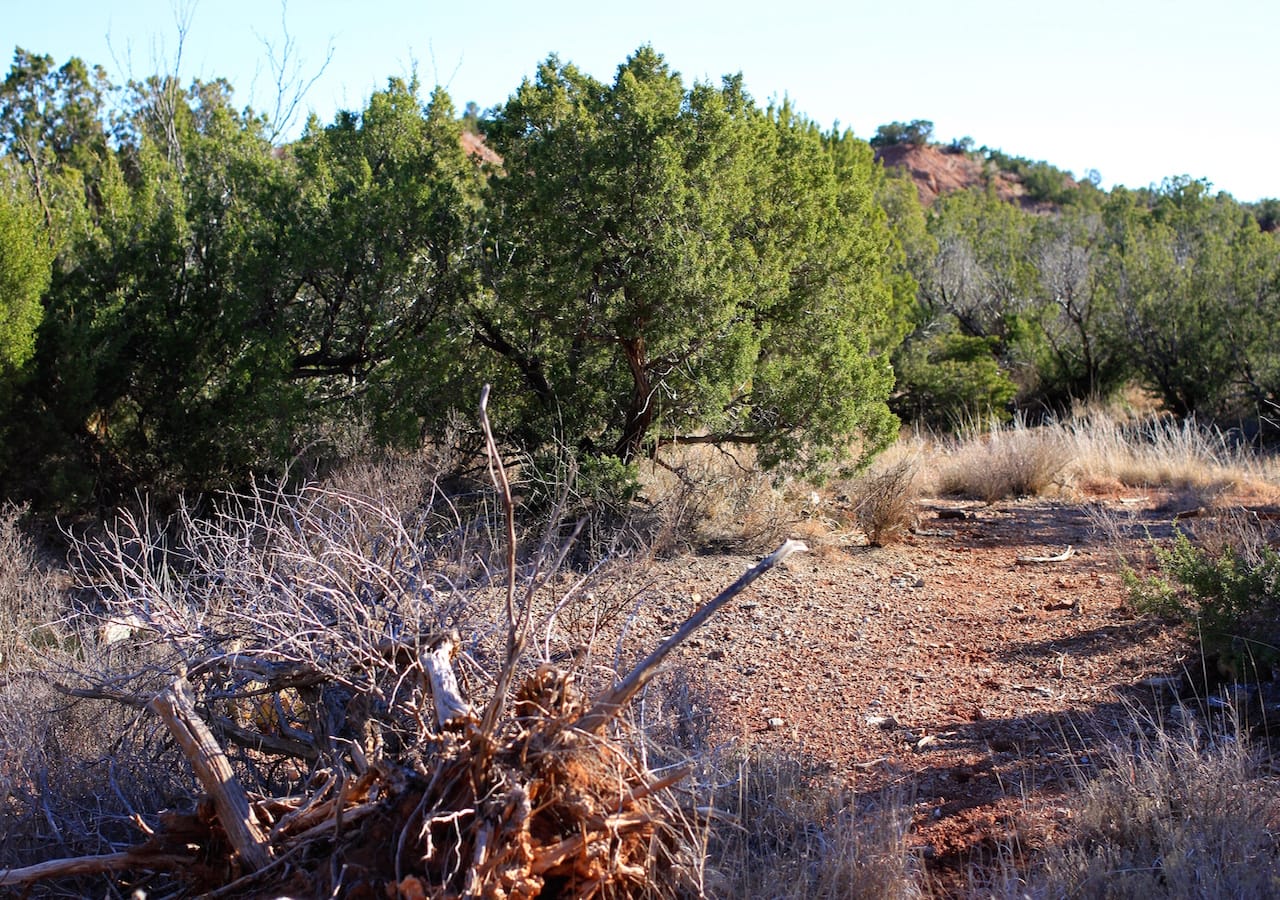 Red Rock Ranch Tract 32 photo 3