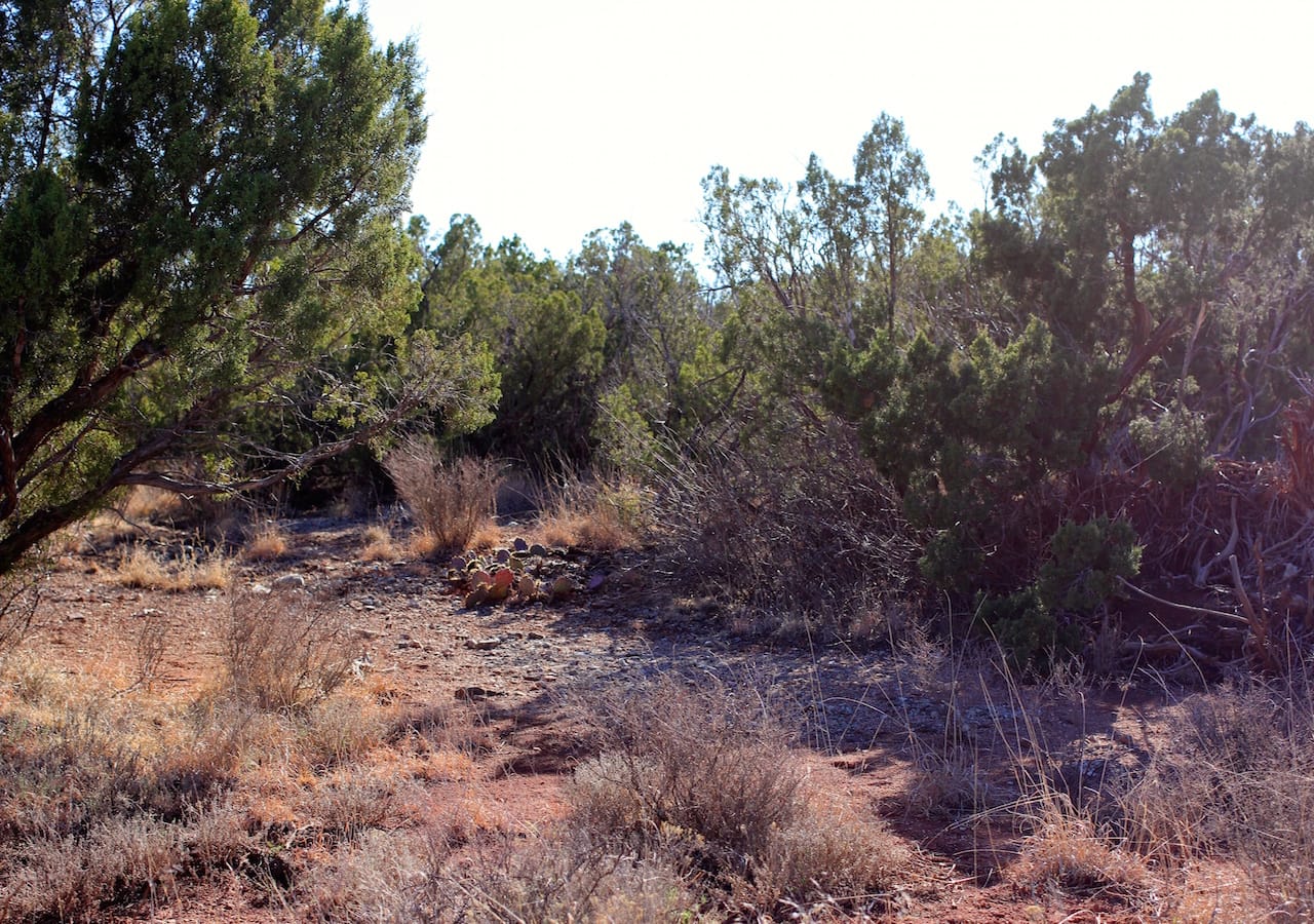 Red Rock Ranch Tract 32 photo 4