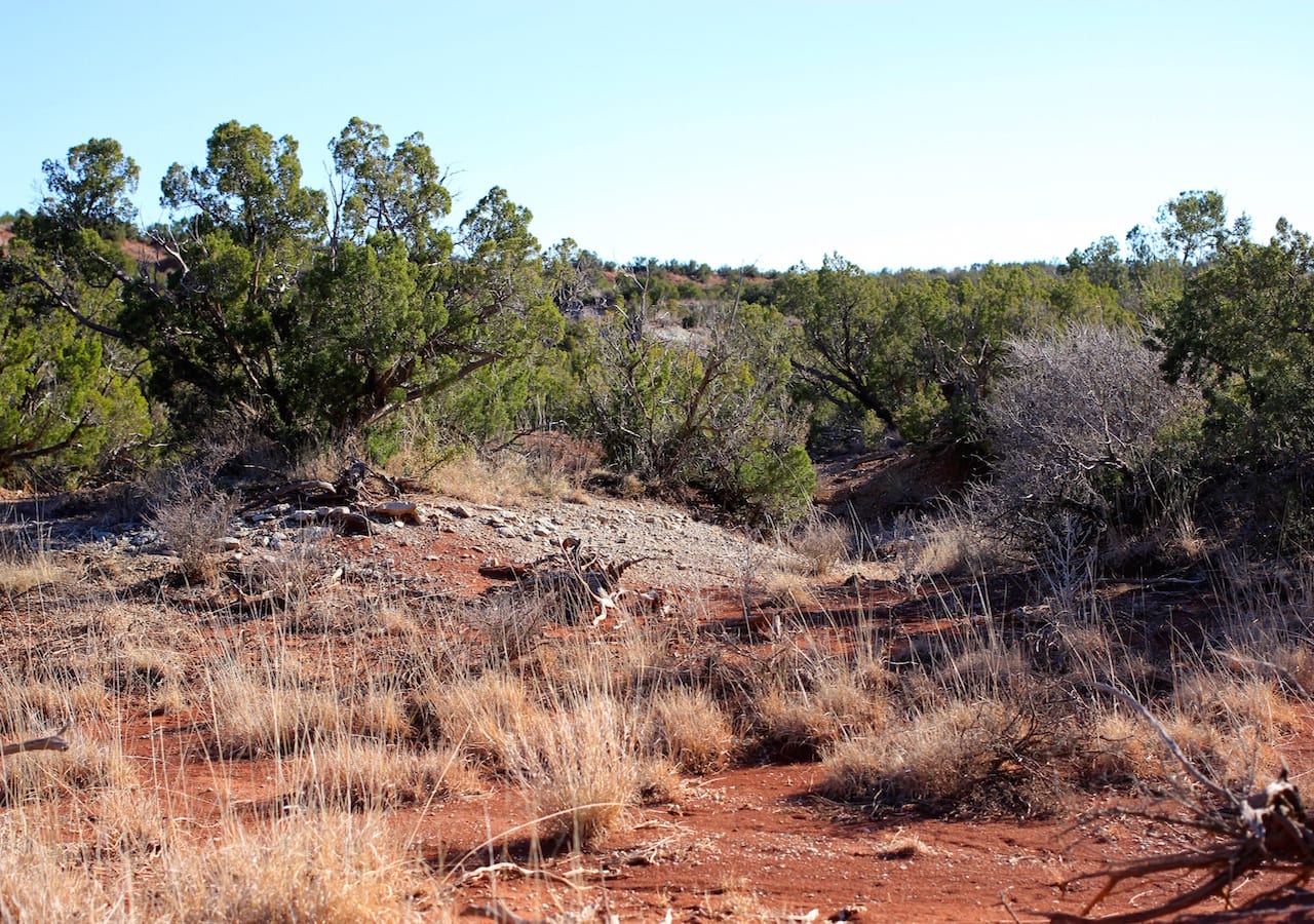 Red Rock Ranch Tract 32 photo 5