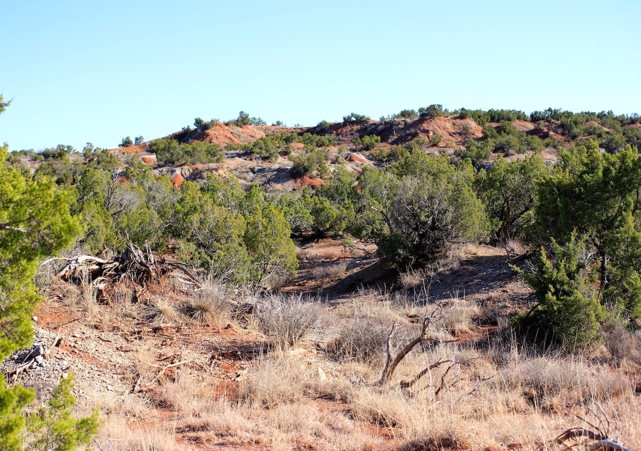 Red Rock Ranch Tract 32 photo 6