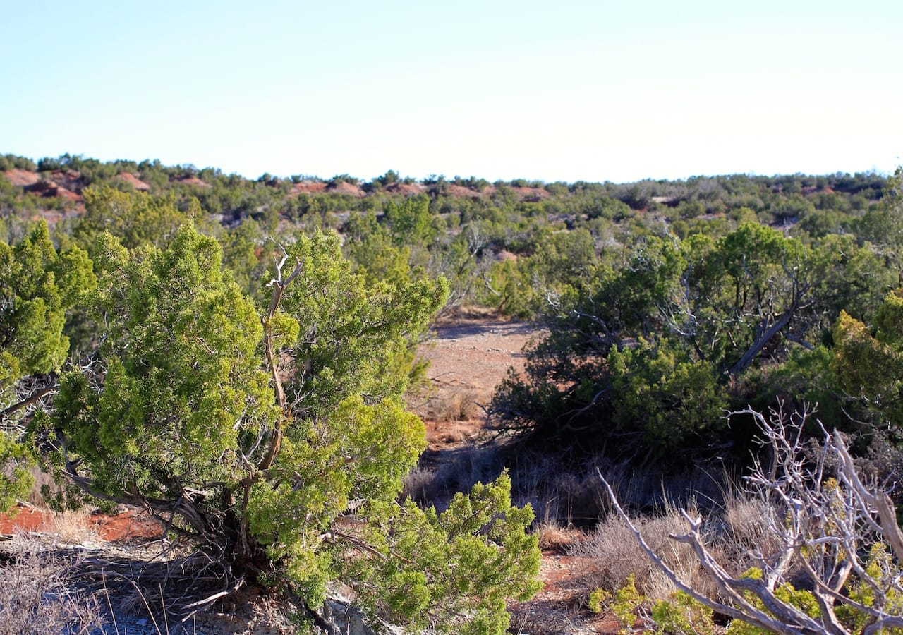 Red Rock Ranch Tract 32 photo 7