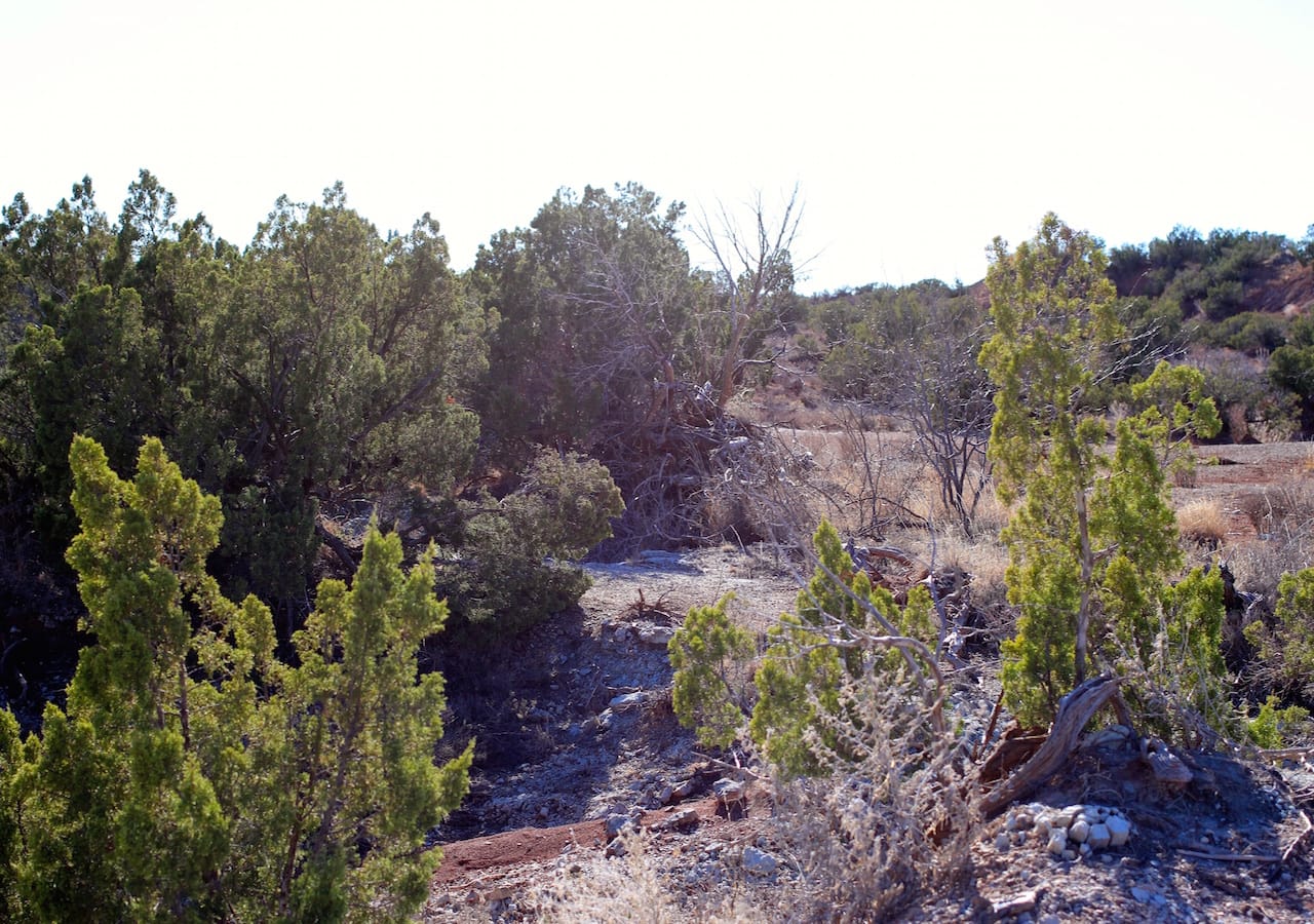 Red Rock Ranch Tract 32 photo 8