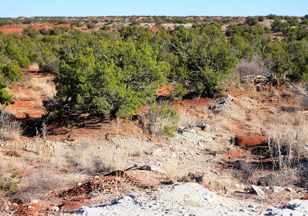 Red Rock Ranch Tract 32 photo 9