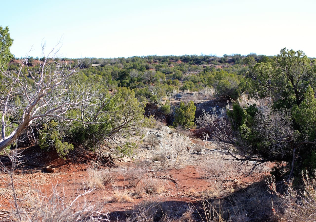Red Rock Ranch Tract 32 photo 11