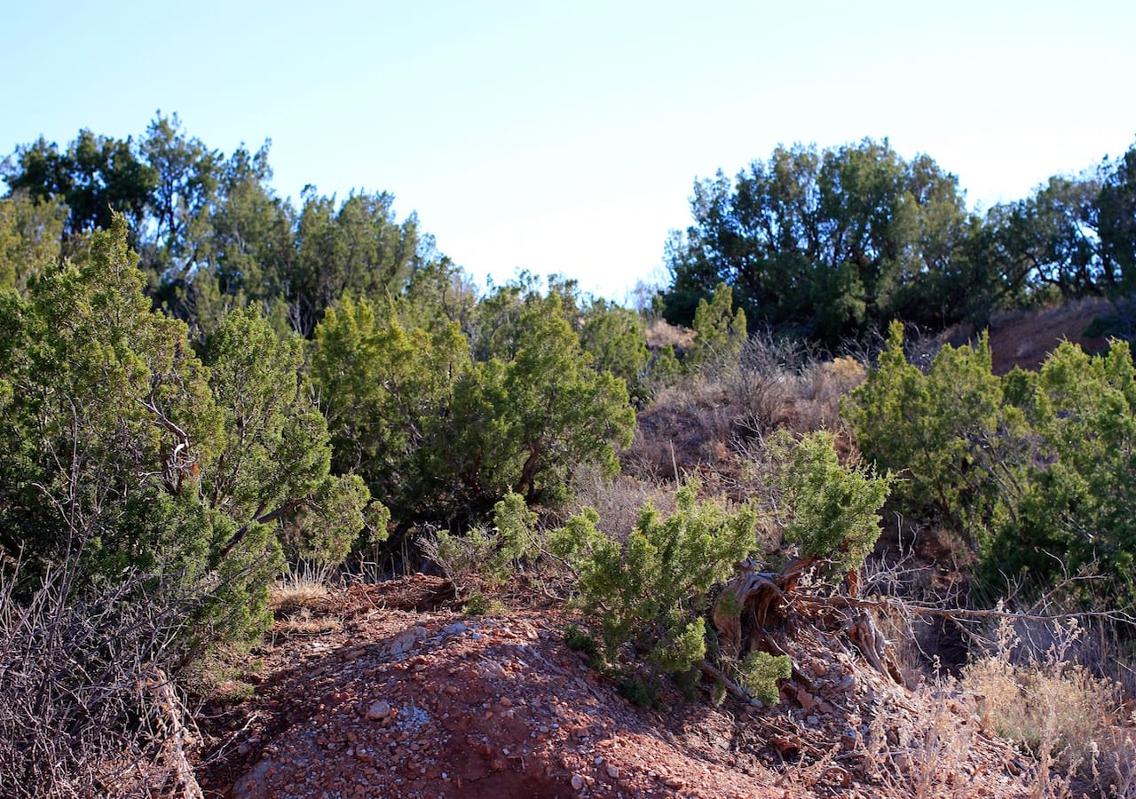Red Rock Ranch Tract 32 photo 14