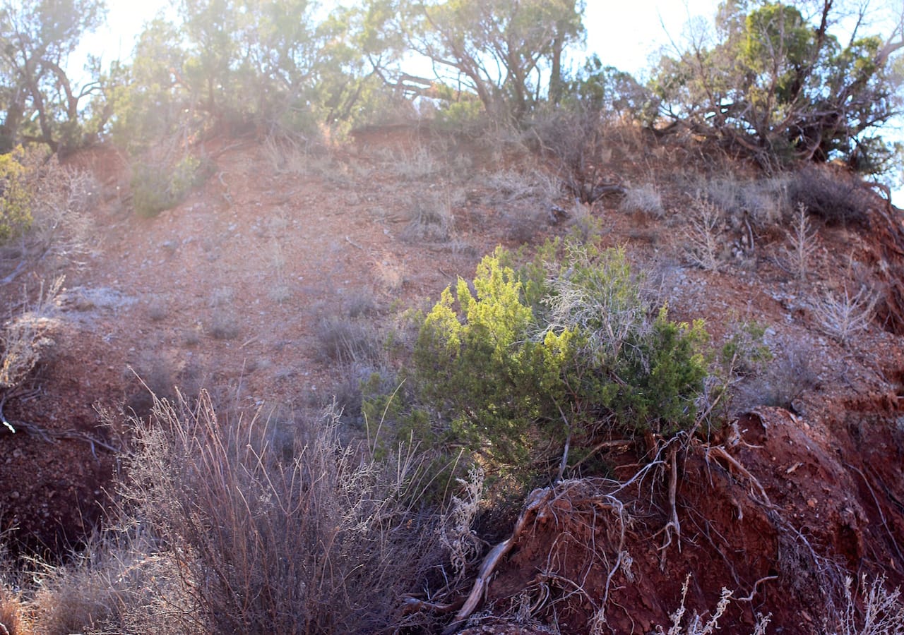 Red Rock Ranch Tract 32 photo 16