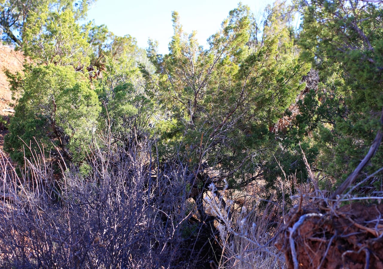 Red Rock Ranch Tract 32 photo 17