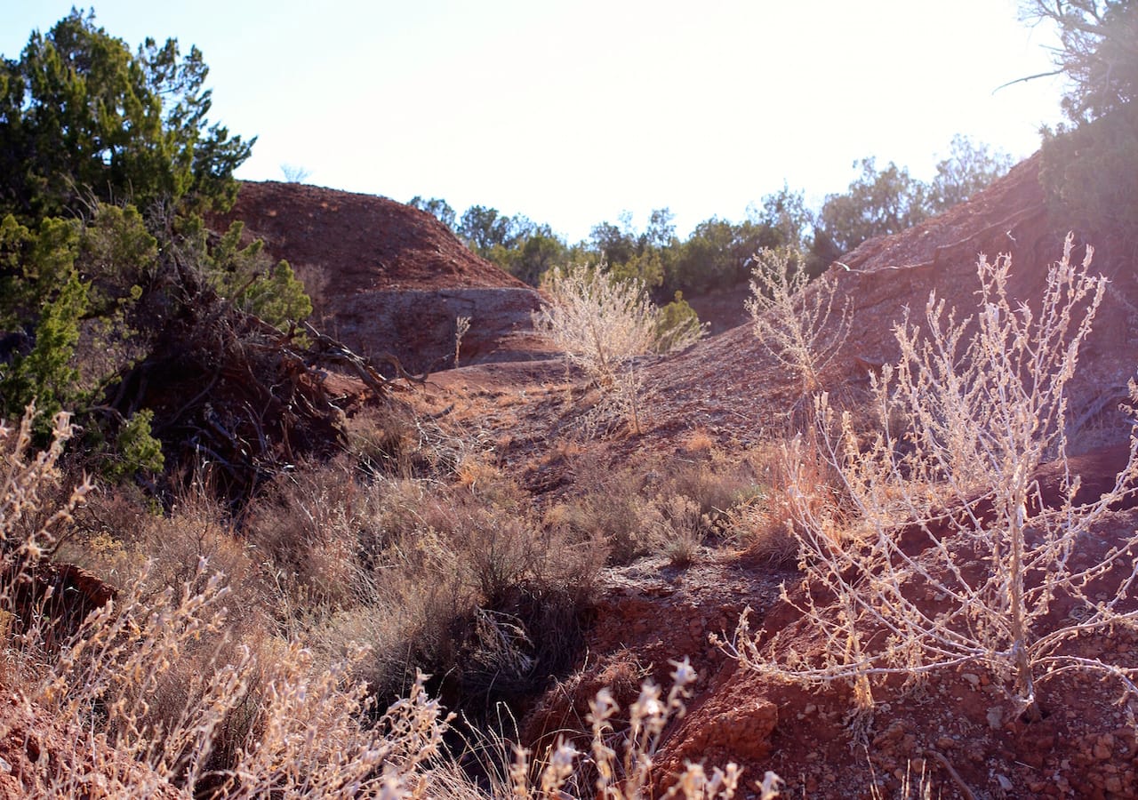 Red Rock Ranch Tract 32 photo 18