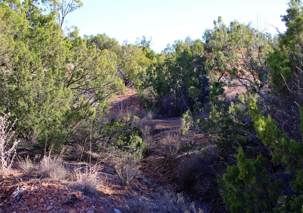 Red Rock Ranch Tract 32 photo 21