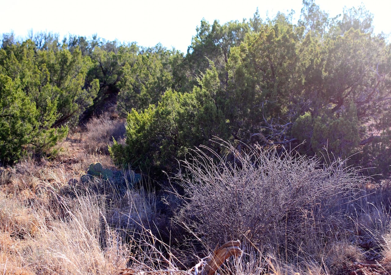 Red Rock Ranch Tract 32 photo 23