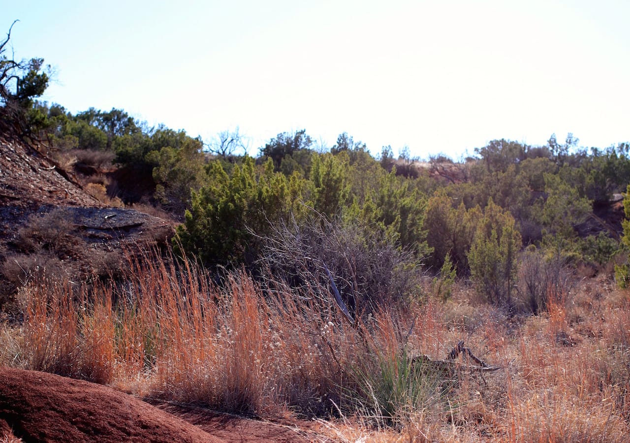 Red Rock Ranch Tract 32 photo 24