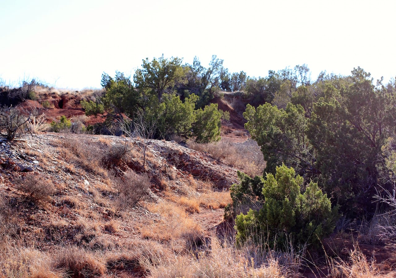 Red Rock Ranch Tract 32 photo 27