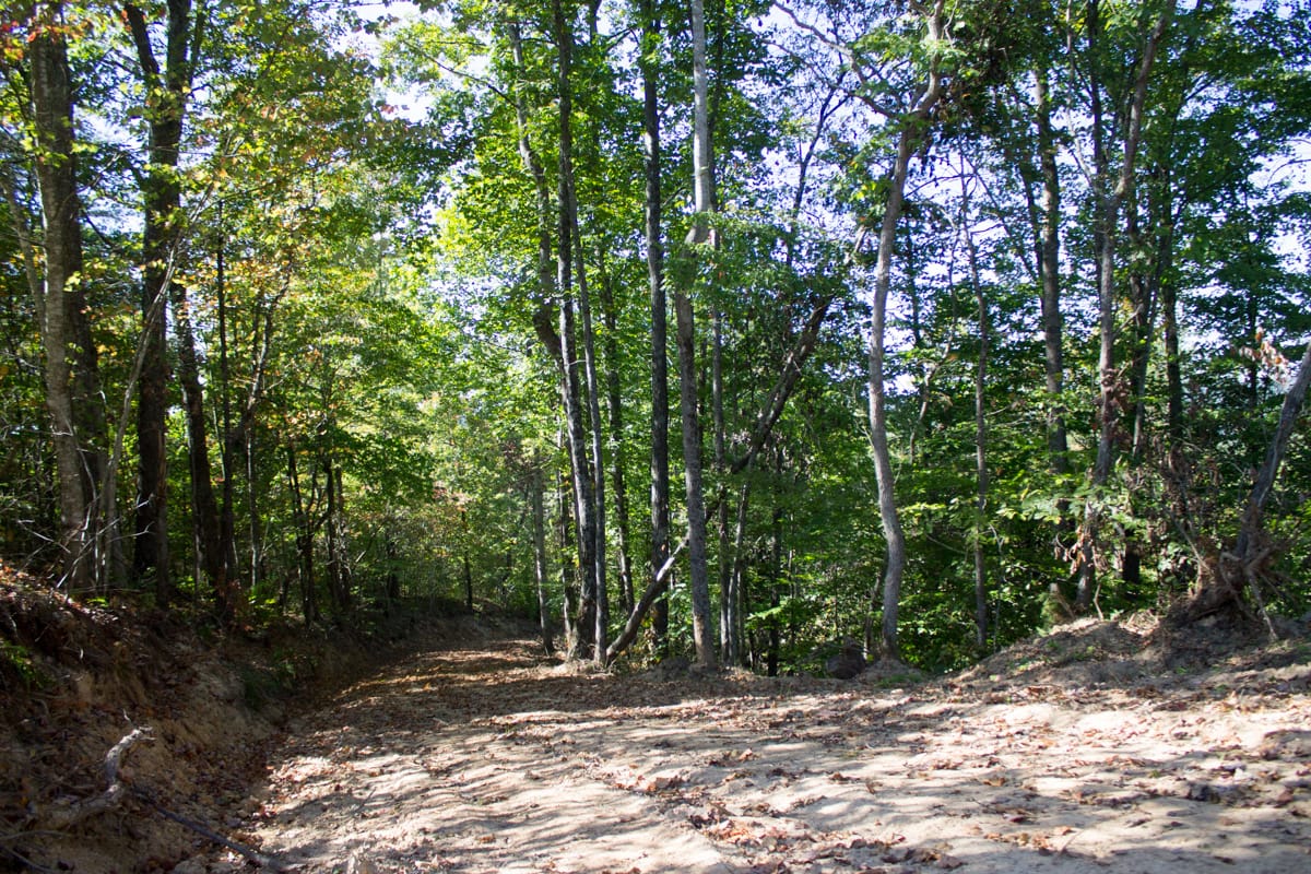 Black Oak Ranch Tract 7 photo 5