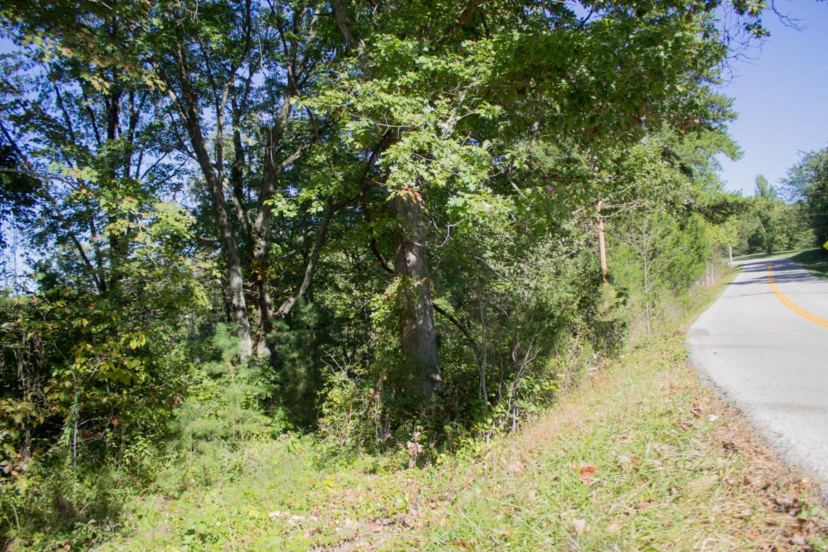 Black Oak Ranch Tract 7 photo 3