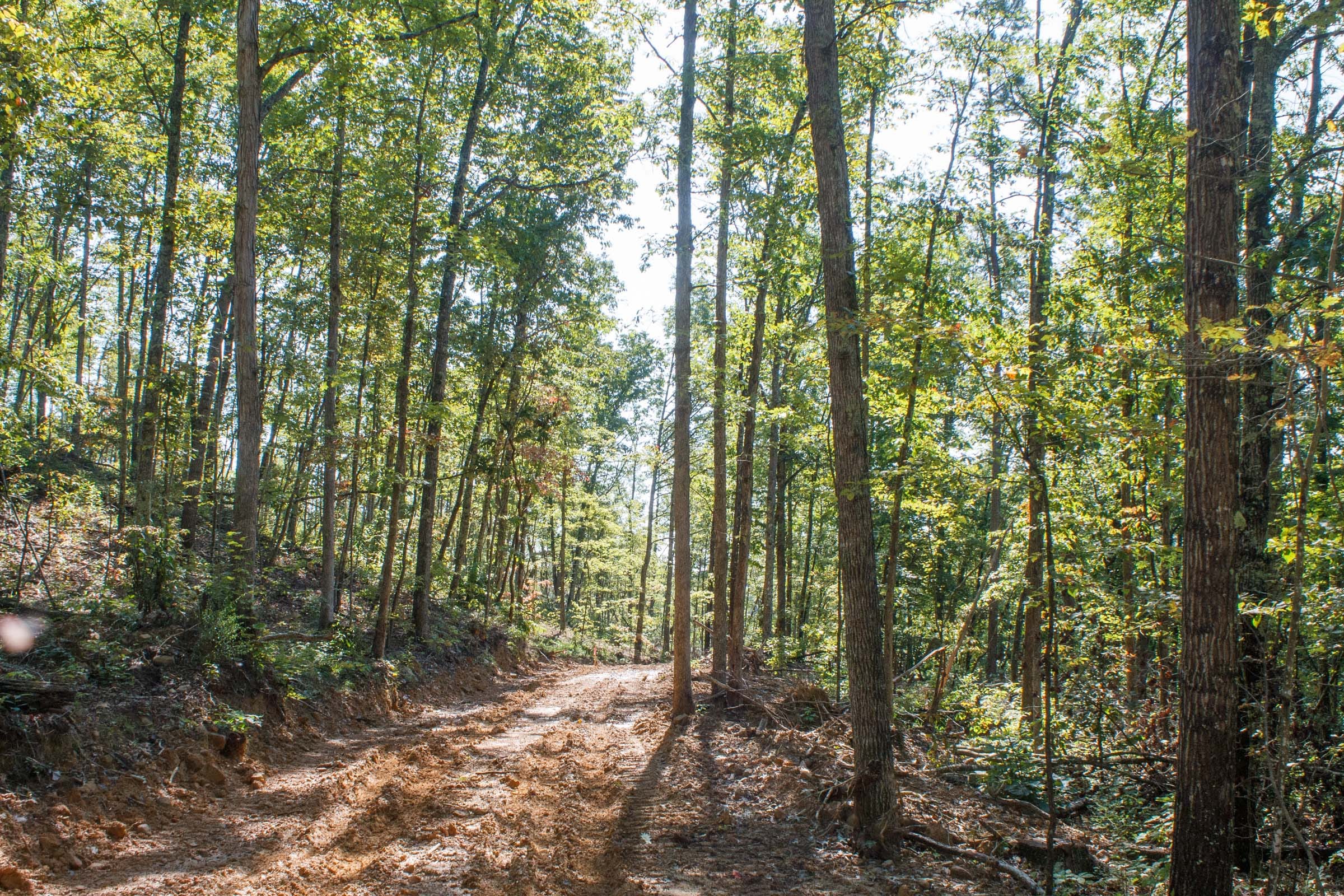 Wounded Oak Tract 6 photo 1