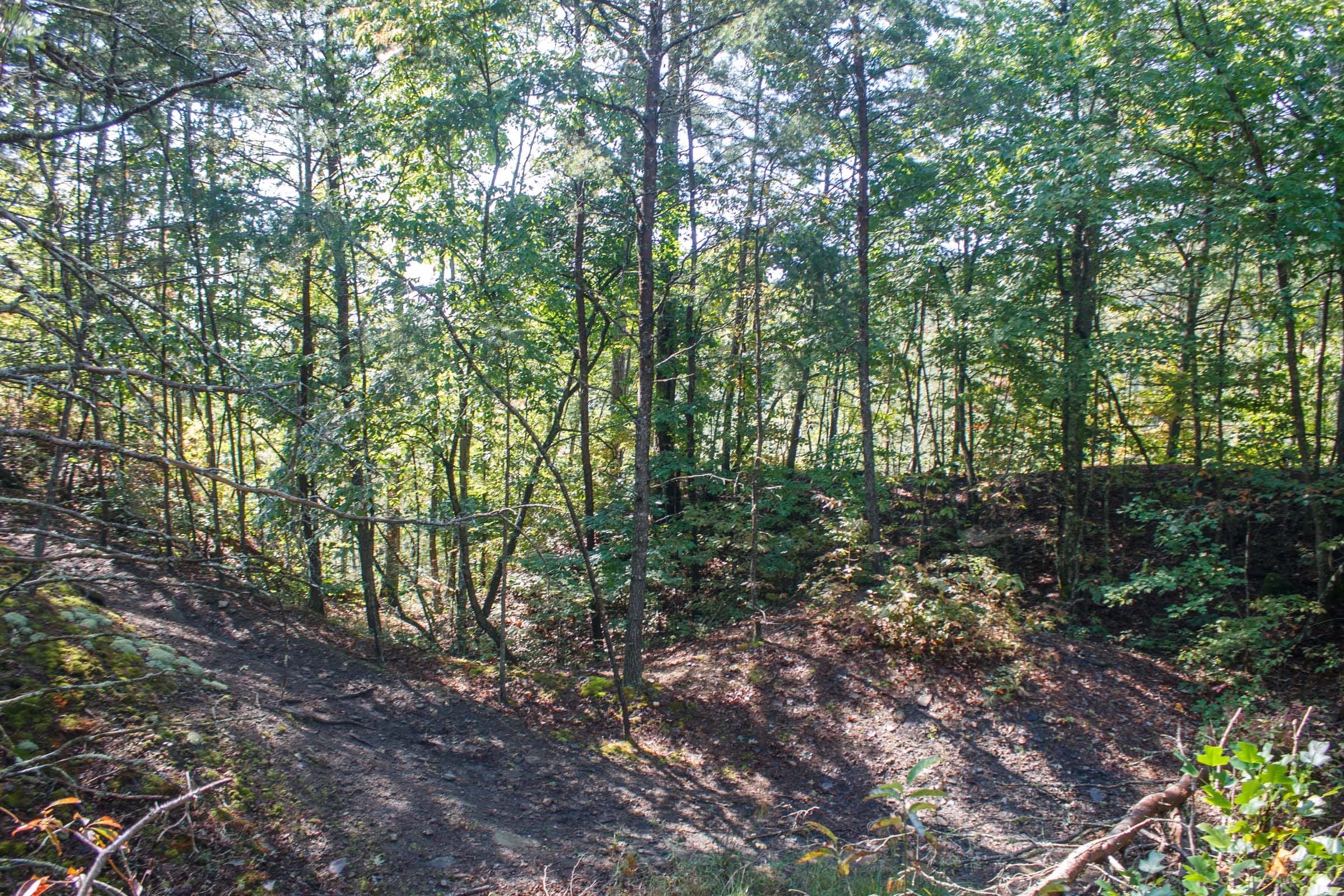 Wounded Oak Tract 6 photo 7