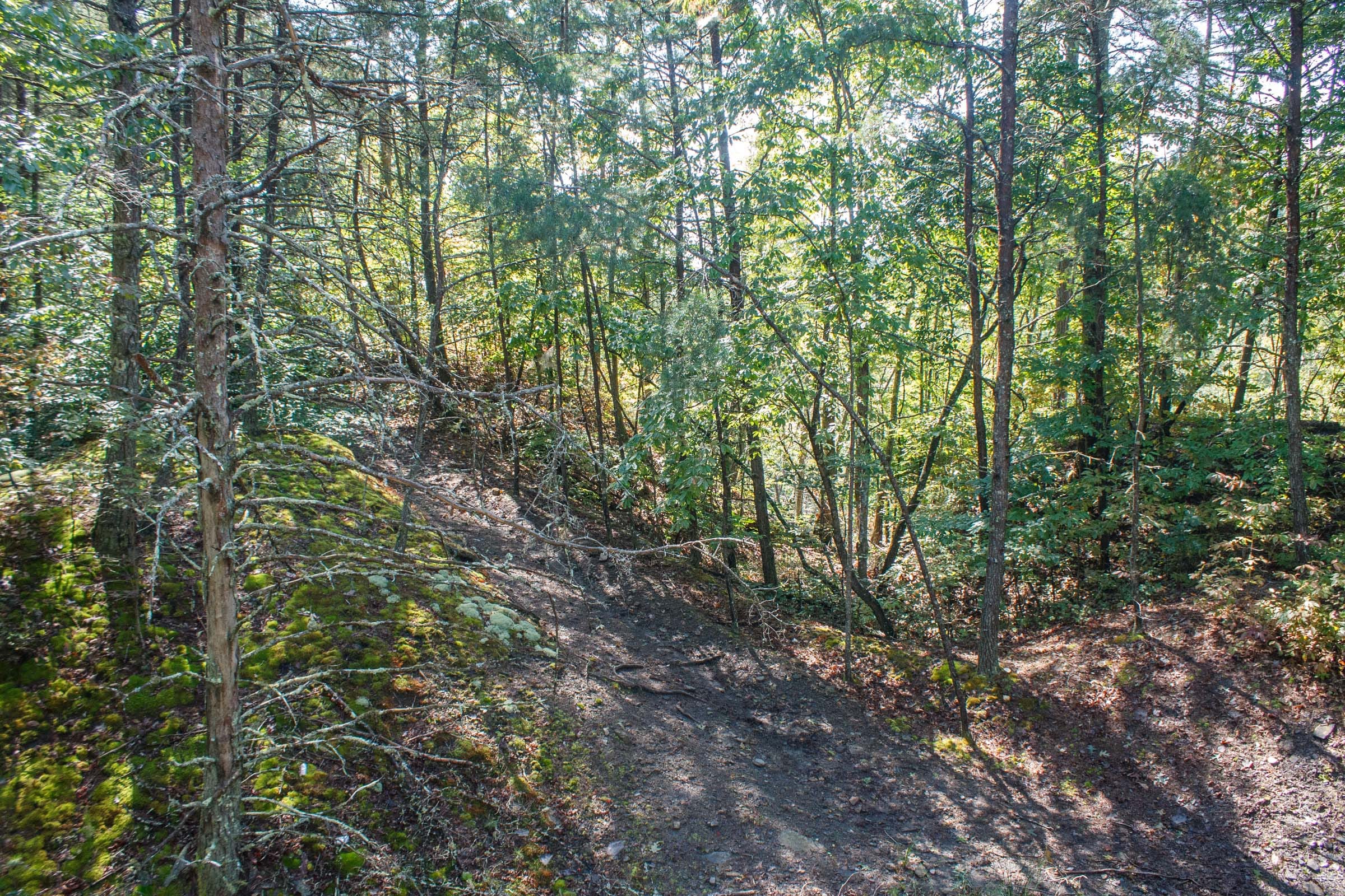 Wounded Oak Tract 6 photo 8
