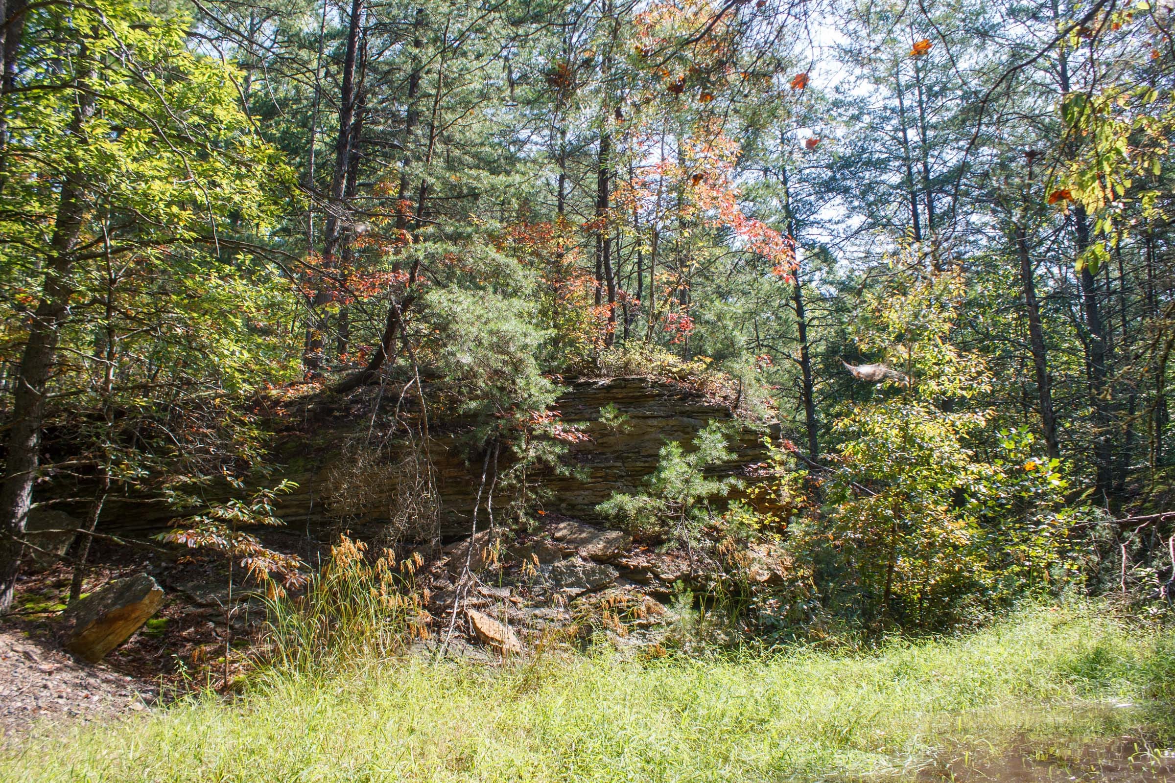 Wounded Oak Tract 6 photo 11