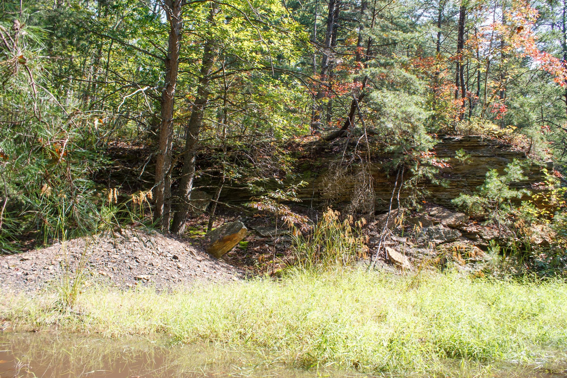 Wounded Oak Tract 6 photo 12