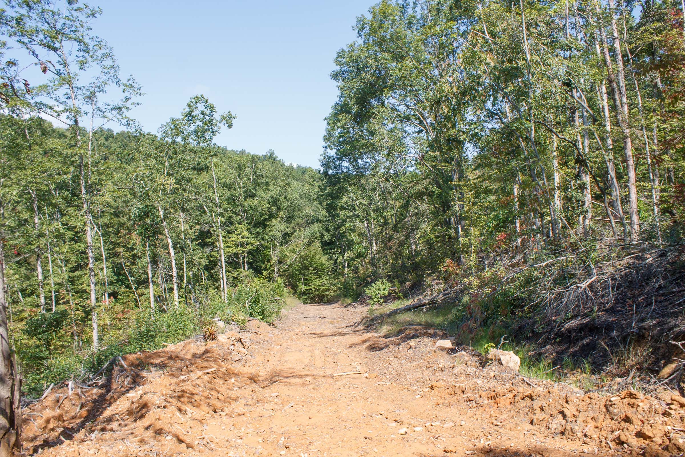 Wounded Oak Tract 6 photo 16