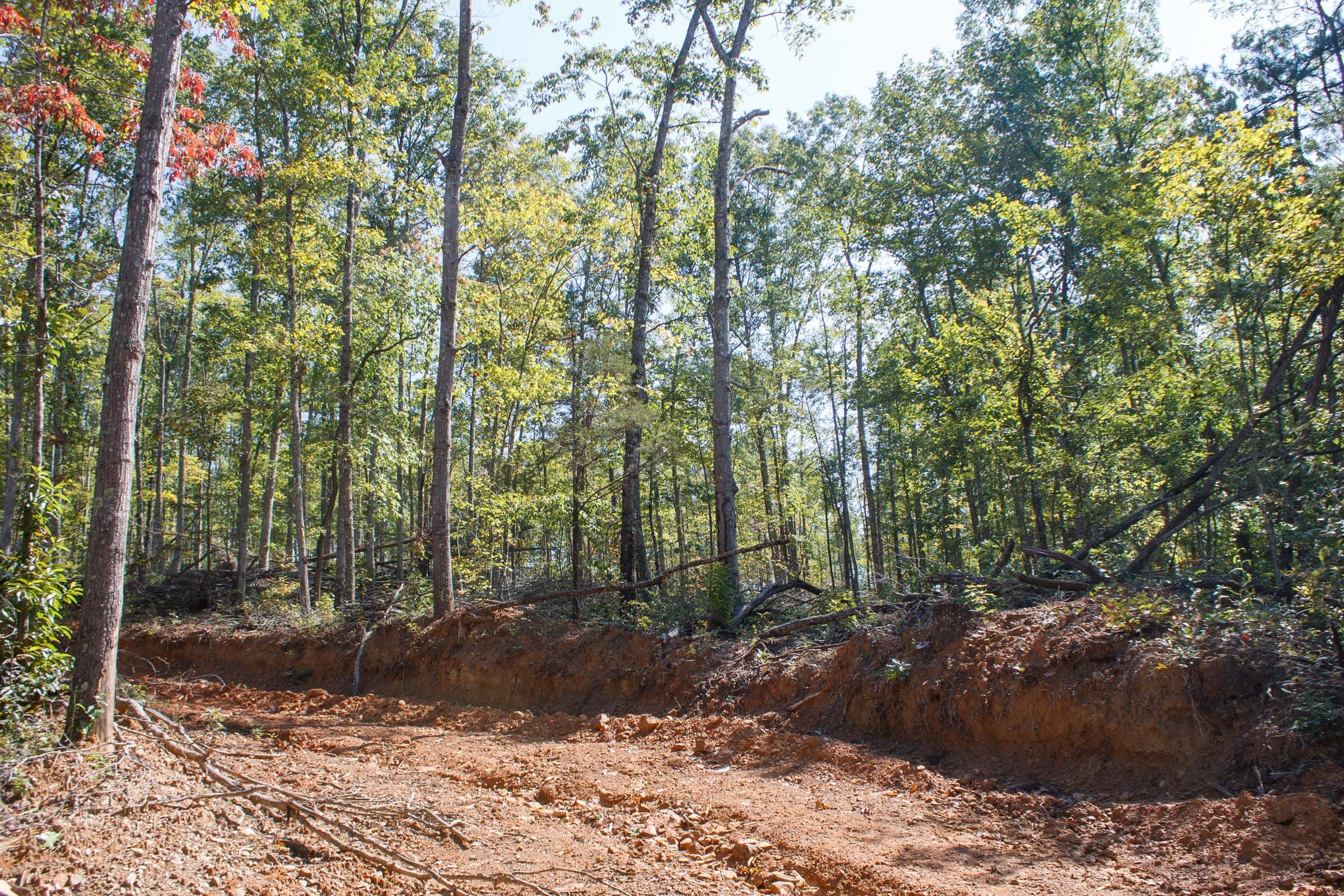 Wounded Oak Tract 6 photo 17