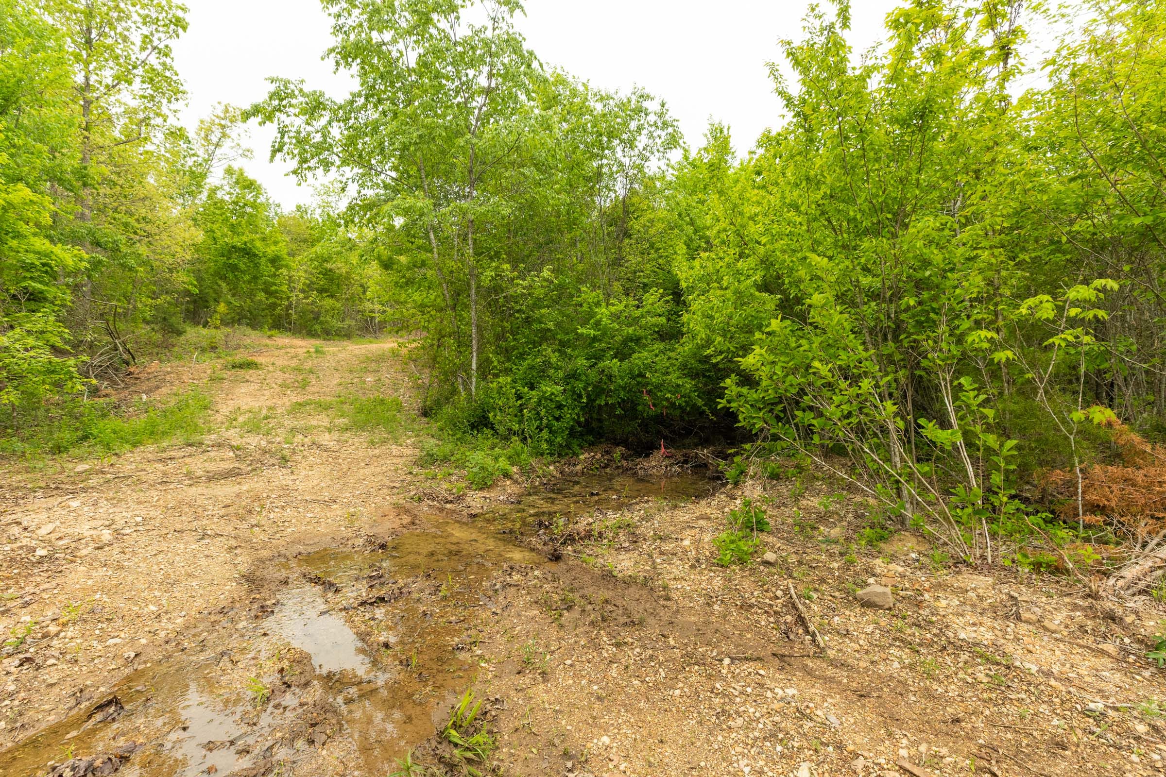 Double S Ranch Tract 11 photo 11