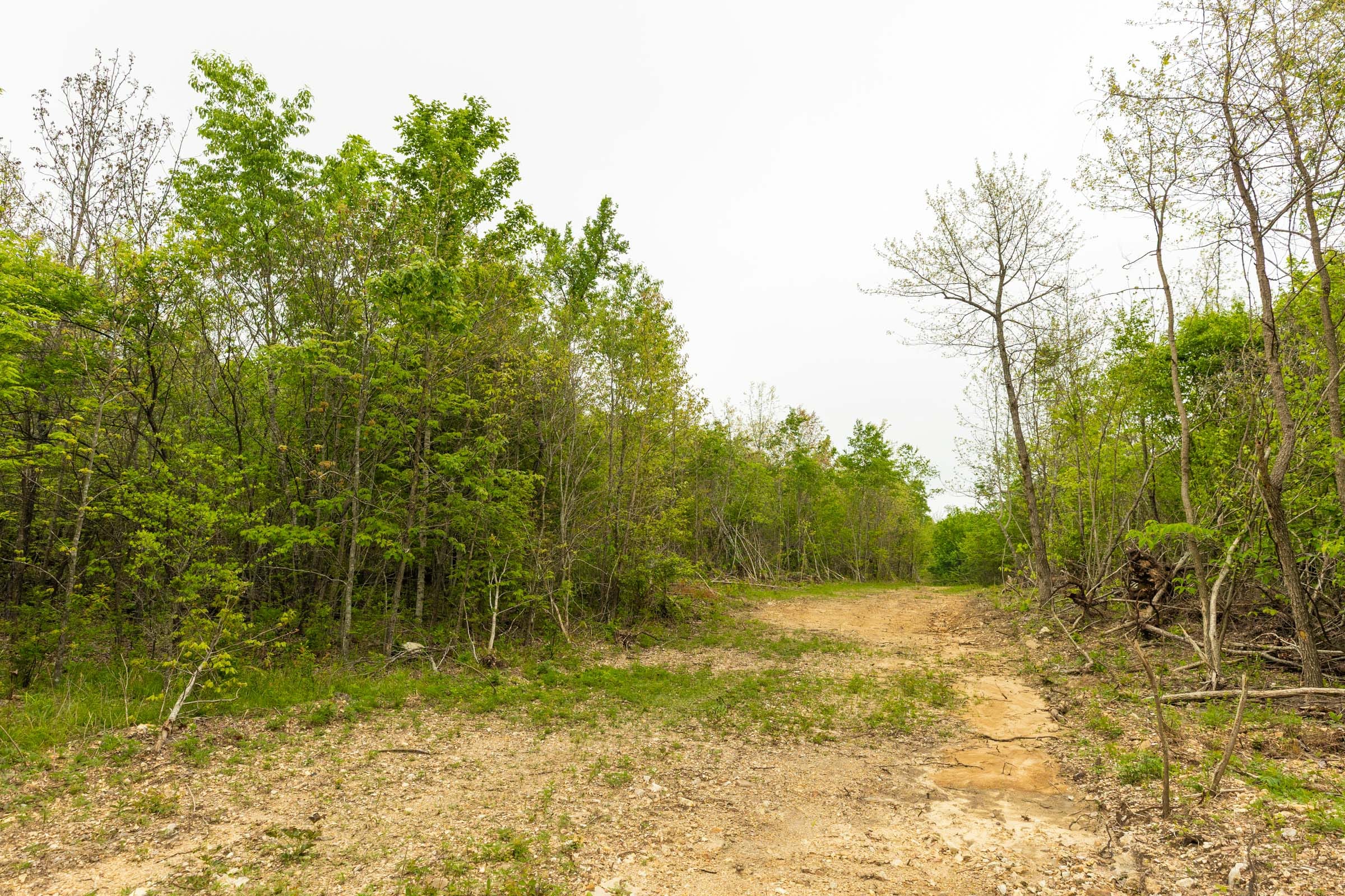 Double S Ranch Tract 11 photo 10