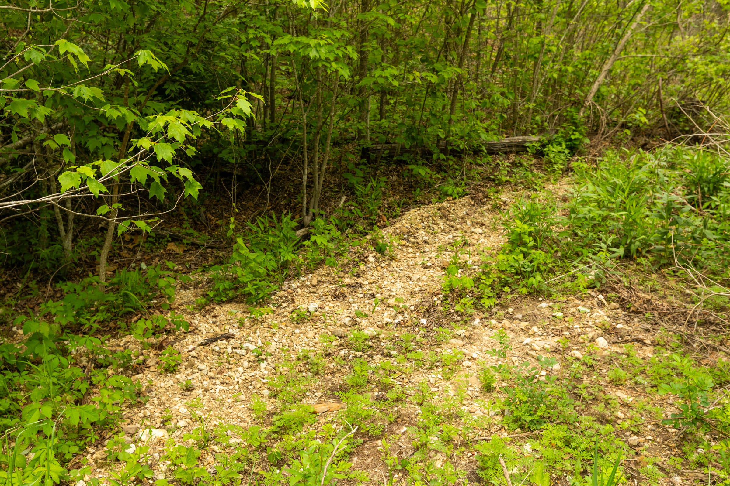 Double S Ranch Tract 11 photo 9