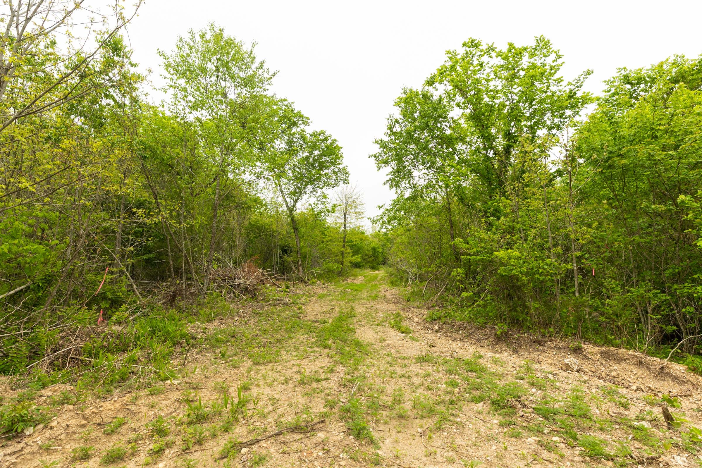 Double S Ranch Tract 11 photo 7