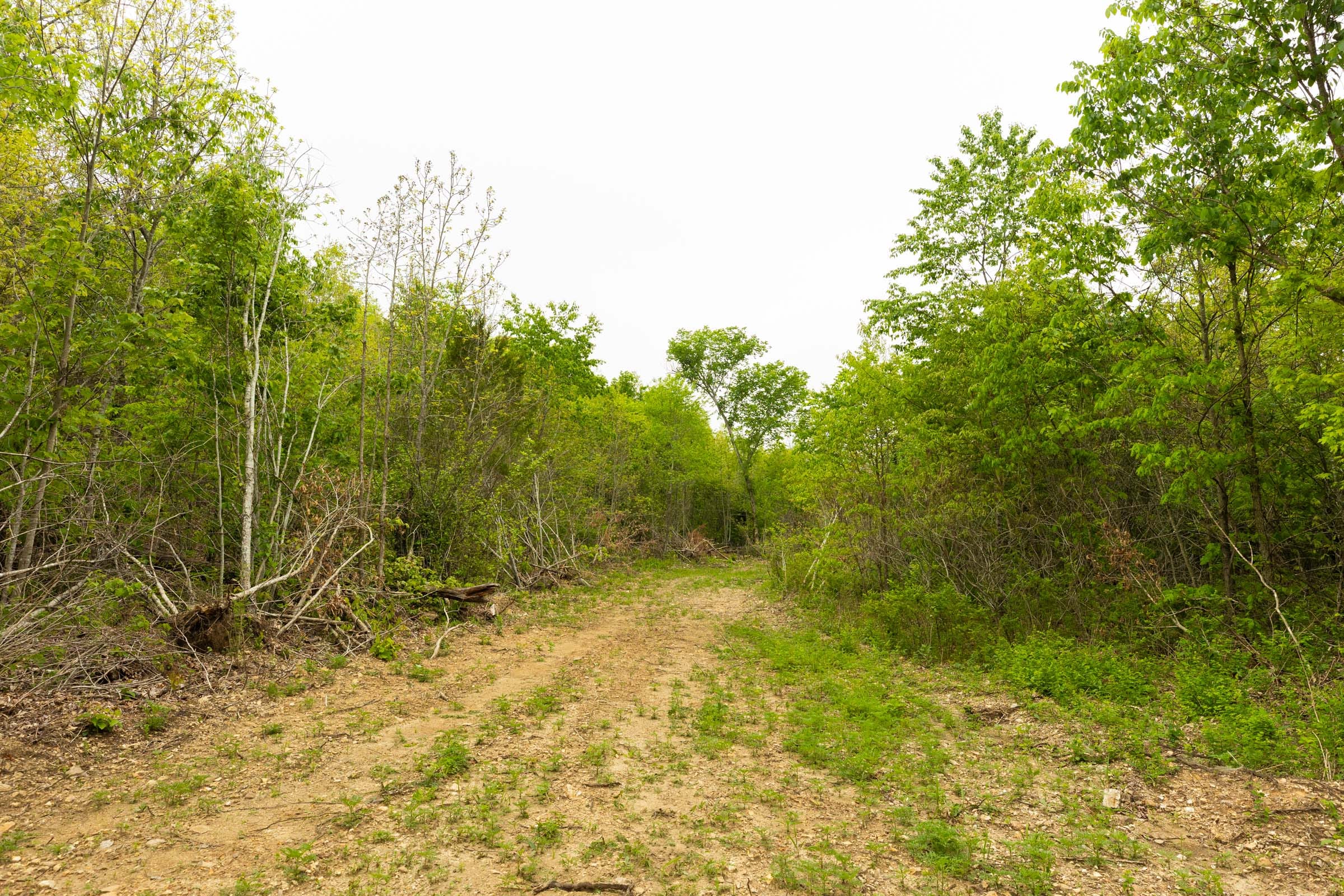 Double S Ranch Tract 11 photo 3