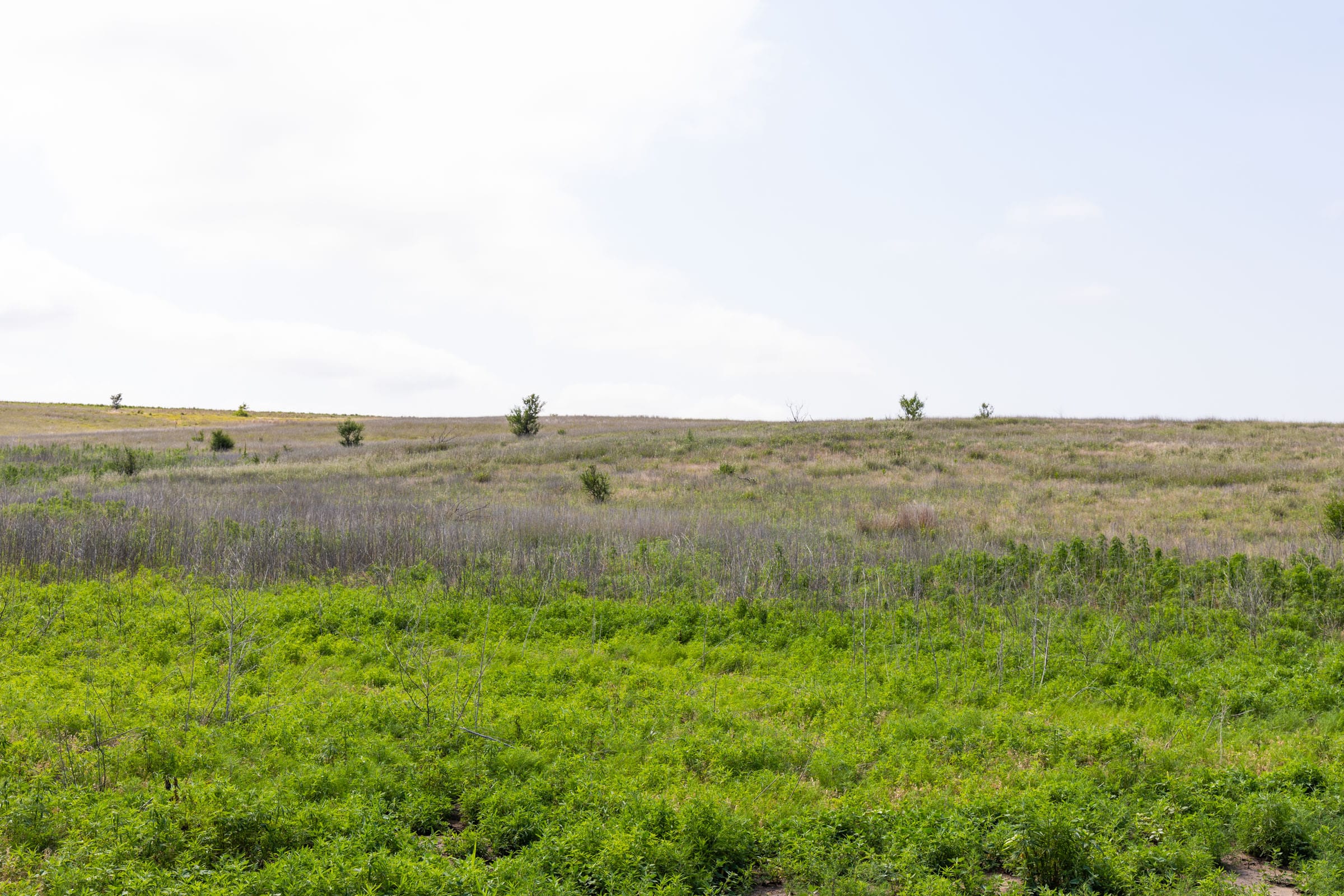 Crandall's Corner Tract 10 photo 4