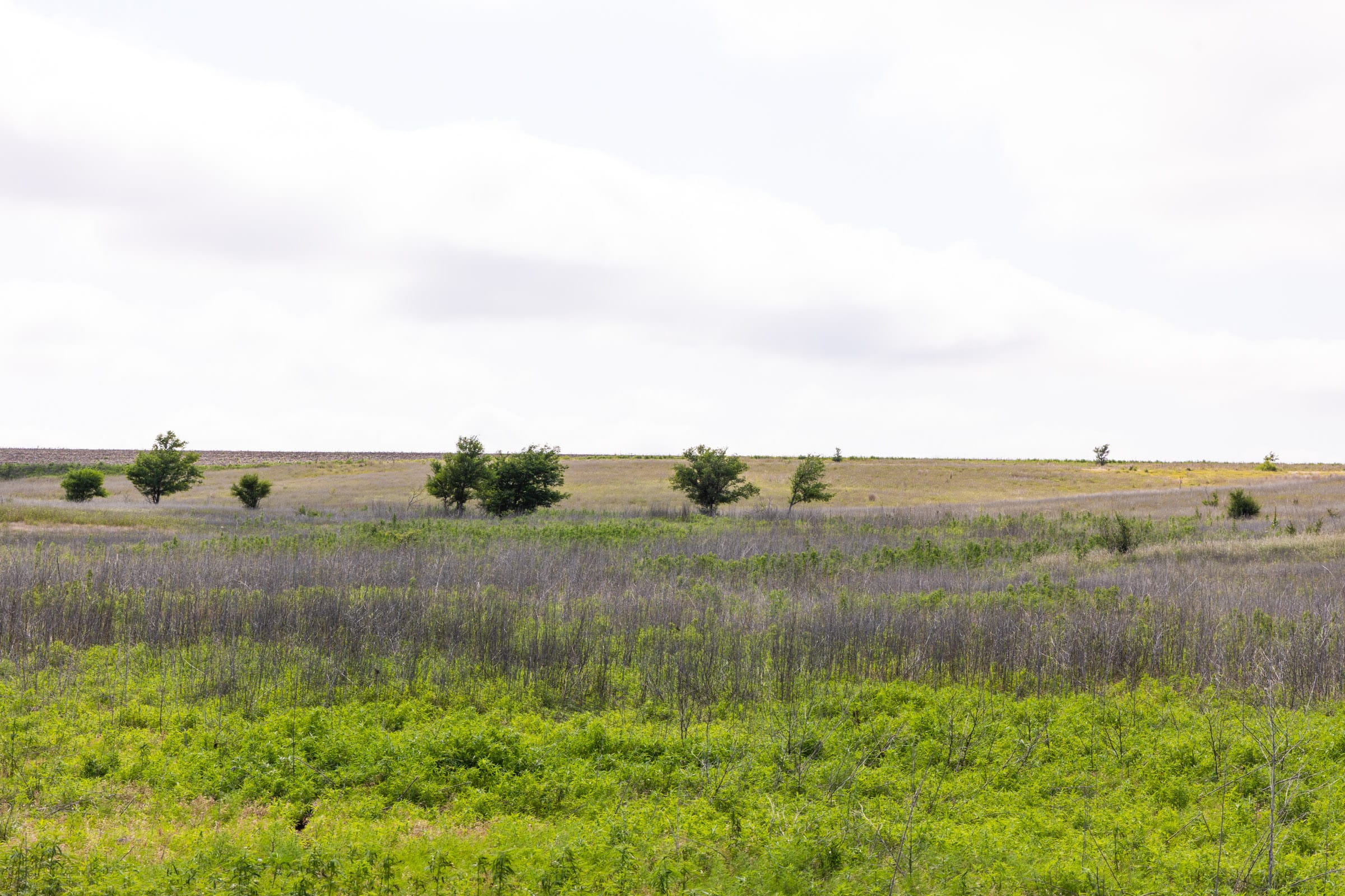 Crandall's Corner Tract 10 photo 3
