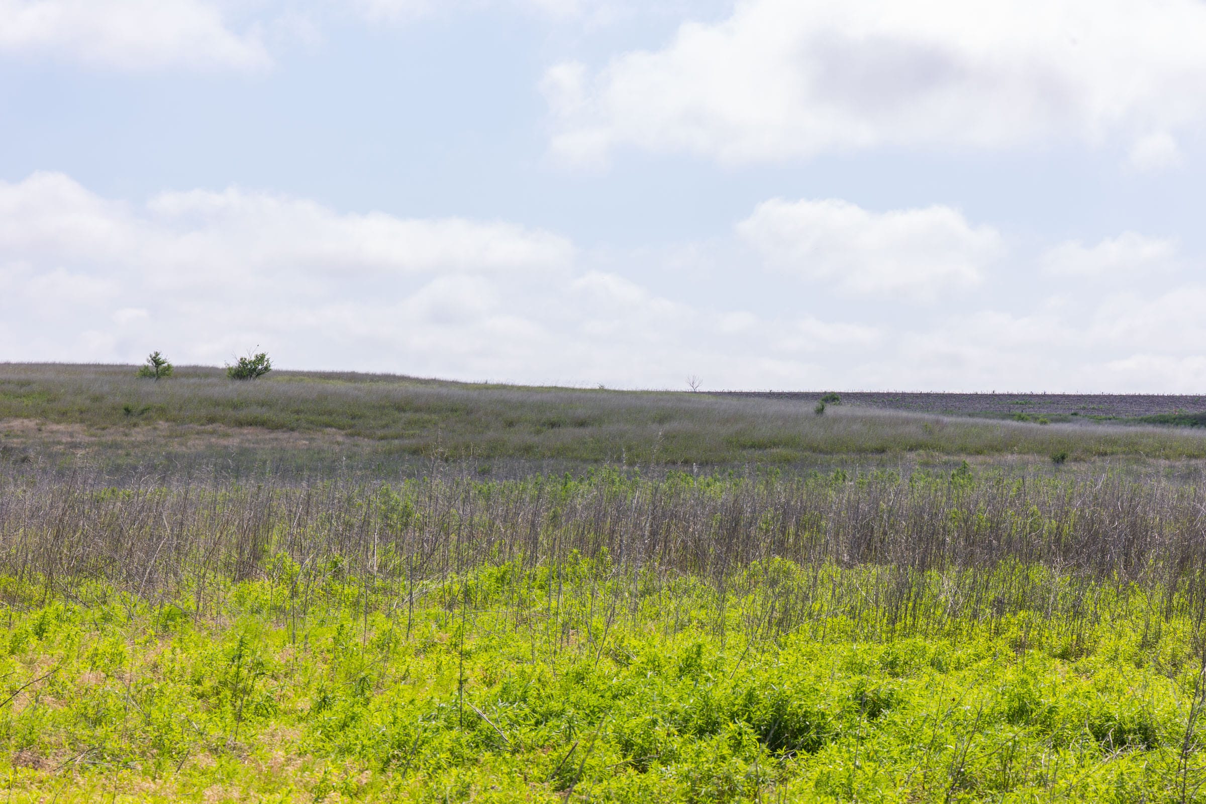 Crandall's Corner Tract 10 photo 6