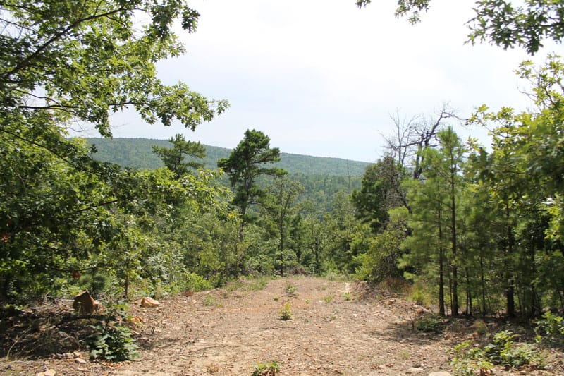Trophy Ridge Phase III Tract 13 photo 1